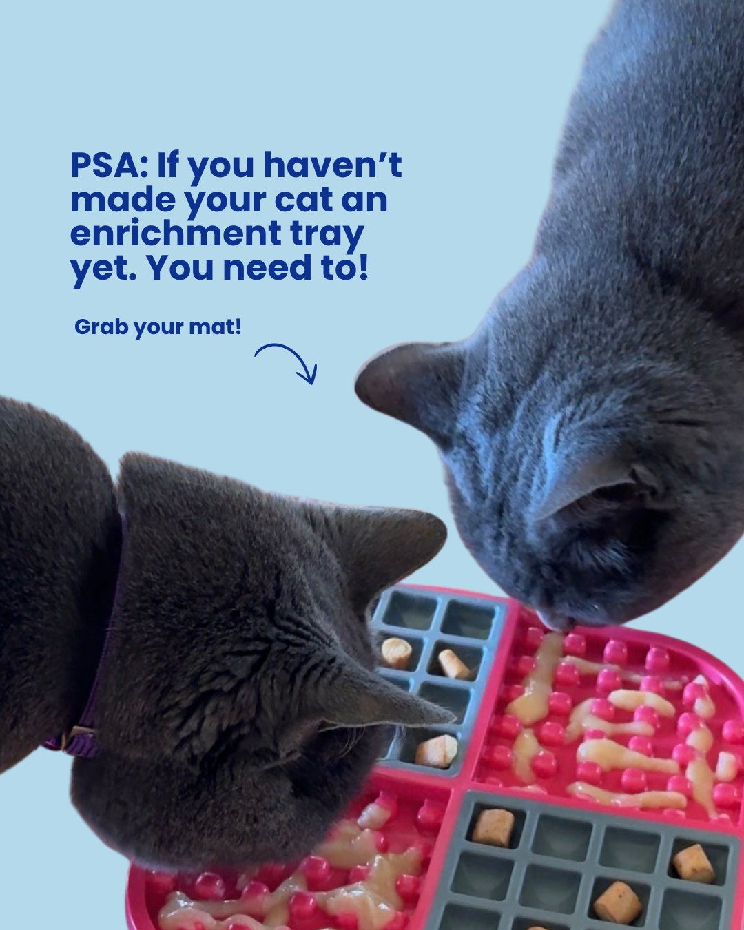 đ§ đ± Your sign to make an enrichment mat for your cat
Because mealtime should be a challenge (with rewards, obviously).
#CatEnrichment #ChuruChallenge #SpoilThatCat #FelineFun