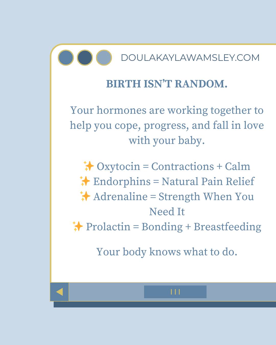 Birth is a hormone symphony — and the environment is the conductor.
When you feel safe, calm, and private… your body does its best work.
Let’s set you up for success. 💛
Want to learn more about how you body works to bring your baby into the world safely?
Click the link in my bio to sign-up for my next Childbirth Education Class
#Birthwork #BirthSupportTeam #NatrualHopsitalBirth #VirginiaDoula #InformedBirth #BirthNerd #VirginiaMom #NatrualBirthSupport #PhysiologicalBirth #LaborSupport #BirthDoula #DoulaLife #PostpartumDoula #WaterBirth #EmpoweredBirth #BirthSupport #Birthworker #PositiveBirth #HospitalBirth #DoulaSupport #BirthWithoutFear #HomeBirth #Birth #doula #NaturalBirth #Pregnant #SecondTrimester #ThirdTrimester #PregnancyJourney #Childbirth