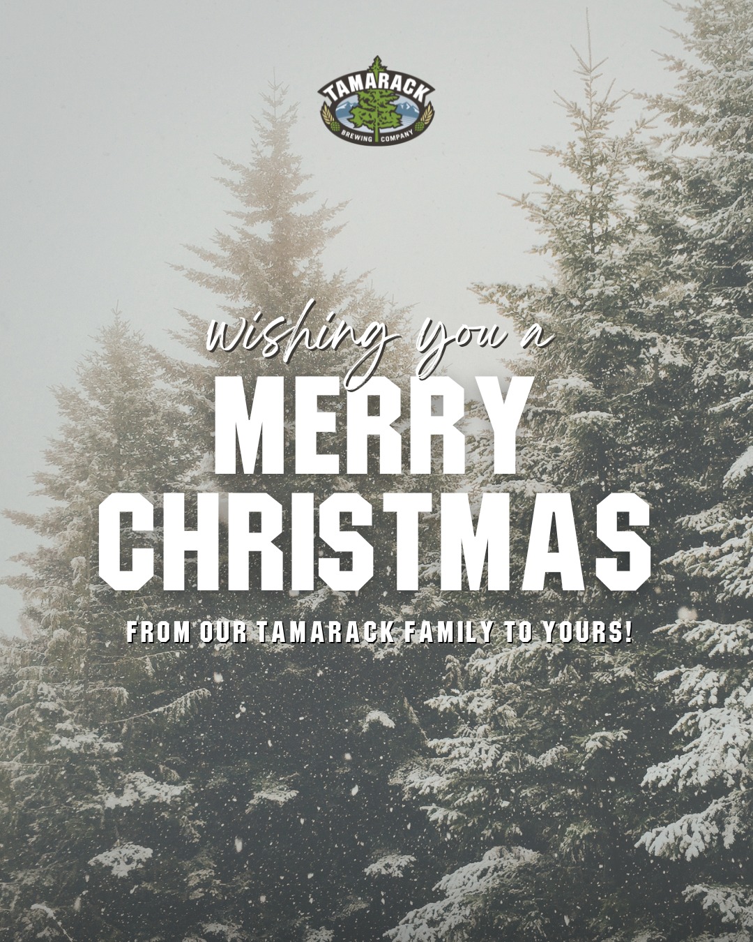 Merry Christmas from the Tamarack family ❤️
