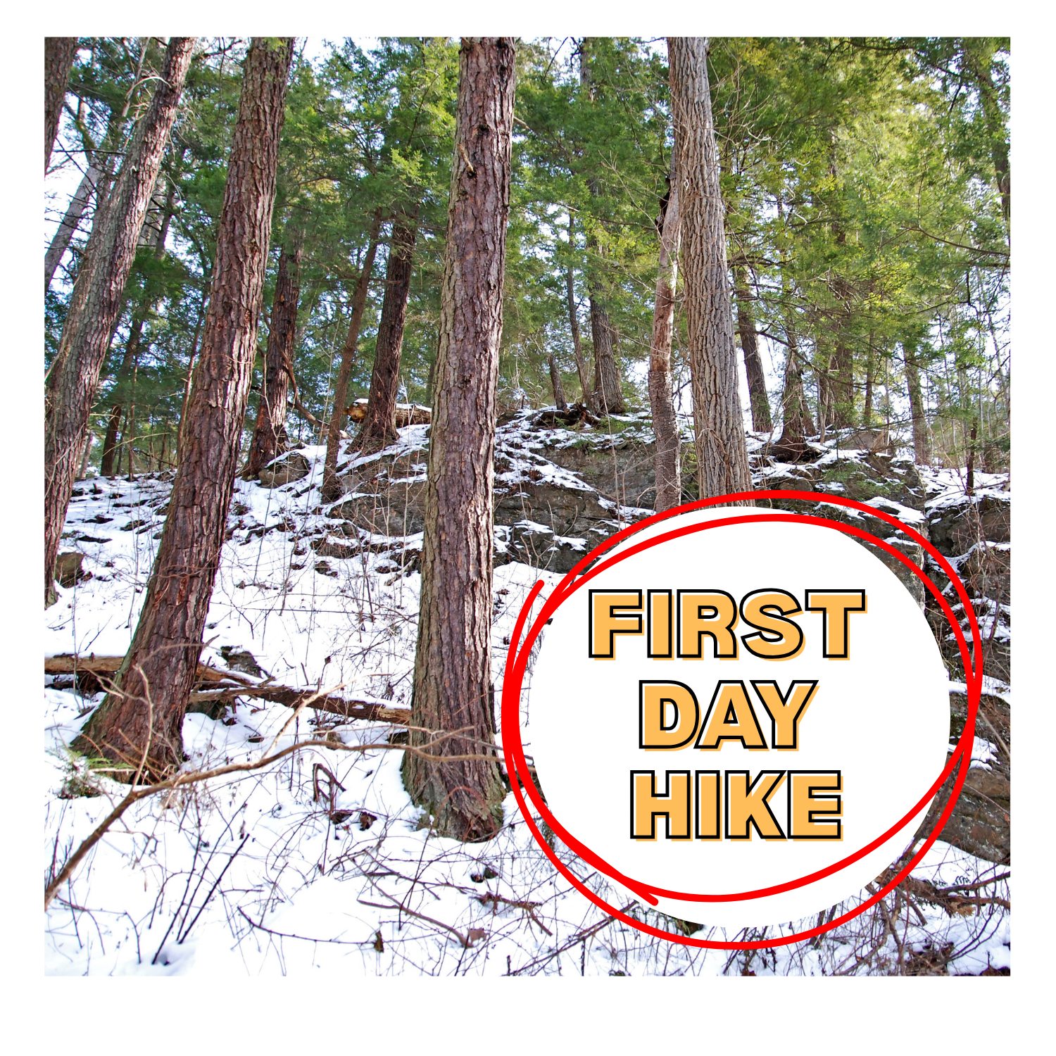 Get 2026 started right with some fresh air, exercise, and time spent out in nature! On January 1 at 11am, we will be exploring South Branch Preserve South in Long Valley, the site of TLCNJ's first major restoration project at the South Branch of the Raritan River. Sign up at tlc-nj.org/events/first-day-hike-2026 (link in bio).