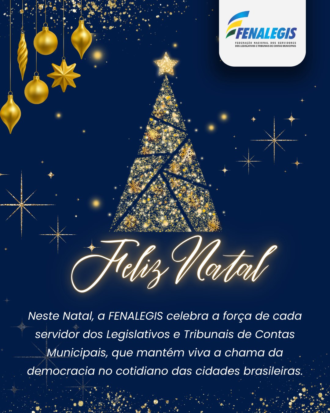 Que o espírito de fraternidade desta data nos recorde o valor das pequenas ações — do estudo de um projeto de lei à análise responsável de cada conta pública — que transformam realidades e aproximam o poder público da população.
Que o espírito natalino traga paz, propósito e renovação!
Feliz natal a todos! 🎄💫🎅🏼🎁
