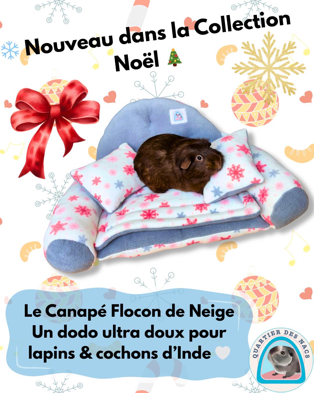 ❄️✨ Nouveauté de la Collection Noël ! ✨❄️
Voici le Dodo Canapé Flocon de Neige, le couchage d’hiver le plus cosy pour vos lapins, cochons d’Inde et petits NAC.
Entièrement réalisé en polaire blizzard flocon de neige et en polaire blanche ultra douce, il offre chaleur, confort et un look magique pour la saison hivernale. 🤍
Le canapé est livré avec :
🛏️ Un coussin super absorbant (ouatine + absorbant interne) — parfait pour un dodo propre et toujours sec.
🛋️ Deux petits oreillers assortis pour une adorable touche déco… que vos animaux adorent utiliser comme repose-tête !
Un cocon doux, chaleureux, élégant, et entièrement fait main dans notre atelier.
L’alliance parfaite entre confort, design et matière hivernale ❄️
✨ Disponible en édition spéciale Noël.
👉 Rendez-vous sur la boutique pour lui offrir son canapé d’hiver préféré ! (Lien en bio)
La magie continue… abonne-toi pour découvrir les prochains dodos de Noël ✨
Prenez soin de vos animaux avec Quartier Des Nacs 🐾
#cochondinde #cochondinde🐹 #lapin #animal #bienetreanimal #animauxdecompagnie #noel #chinchilla