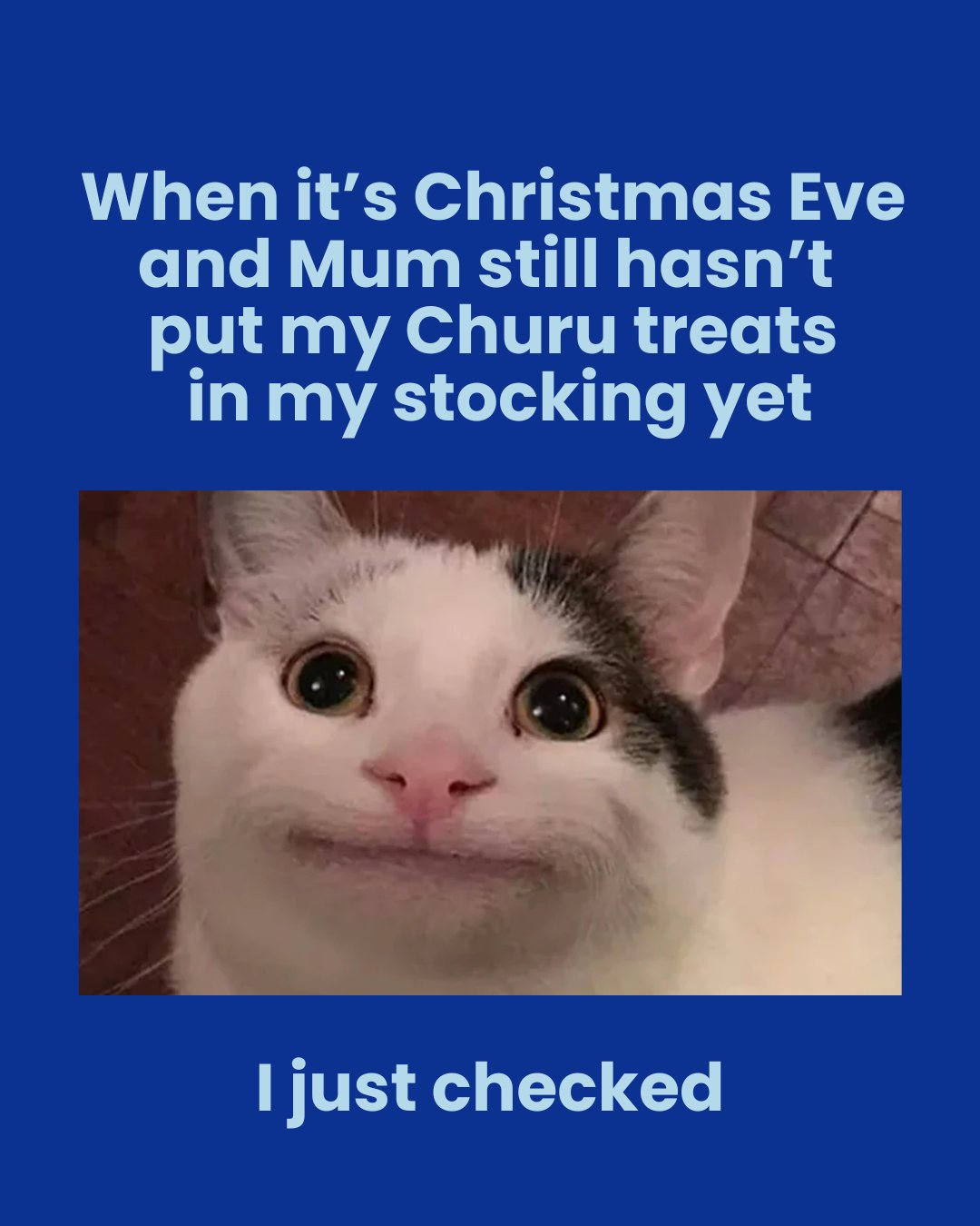 It's going to be okay... right? I just want my Churu đ±
Head to your local Woolworths or Petstock to stock up!
#ChuruJokes #ChuruTreats #ChristmasCatJokes