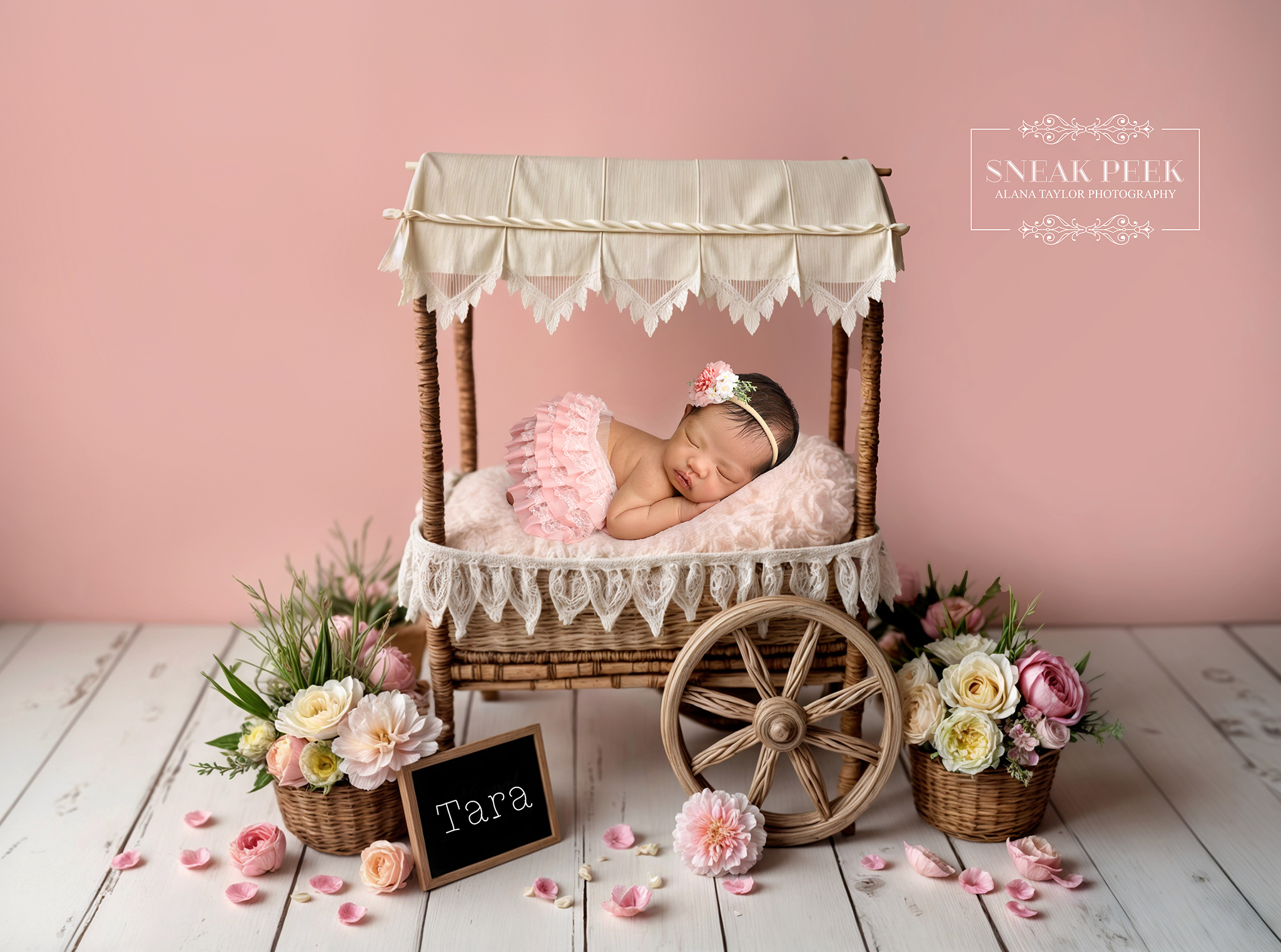 If there were awards for “Newborn Who Looks Like She Already Runs a Small Kingdom,” Tara would take home the crown without even opening her eyes. This tiny queen floated into her session, settled into her floral carriage like she’d been doing newborn modelling for years, and proceeded to serve the sweetest little resting face known to humankind.
The soft pinks, the lace, the flowers, the dainty headband — yes, the entire setup was adorable. But let’s be honest, Tara made the set look like it was auditioning for her. The carriage, the florals, the perfect blush tones… all of it instantly upgraded the moment she decided to nap like an angel who knows exactly how photogenic she is.
Newborns don’t usually arrive this coordinated, this calm, or this prepared to melt every heart within a 50-metre radius — but Tara understood the assignment.
Welcome to the world, little one. You’ve already mastered the art of looking flawless while doing absolutely nothing. 🌸✨
#NewbornPhotographyMelbourne #MelbourneNewbornPhotographer #ClydePhotographer #NewbornSession #BabyPhotographyMelbourne #AlanaTaylorPhotography
Melbourne’s Leading Newborn and Cake Smash Photographer – Book Early!
www.alanataylorphotography.com.au
I have my own complete studio setup with years of experience in the Newborn Photography Industry.
- I am Fully vaccinated
- I am a Fully registered
- I am Fully Insured
- I have been trained how to pose newborns safely.
- I have 15 Years Experience in Newborn Photography
- Newborn Photography Melbourne
- Smash Cake Photography Melbourne
- Newborn Photographer Melbourne
- First Birthday Cake Smash Photos Melbourne
- Cake Smash Photography Near Me
- Cake Smash Photos Melbourne
- Newborn Photography Near Me
- Newborn Baby Photographer Melbourne
- Cake Smash Photographer Melbourne
- Affordable Newborn Photography Melbourne