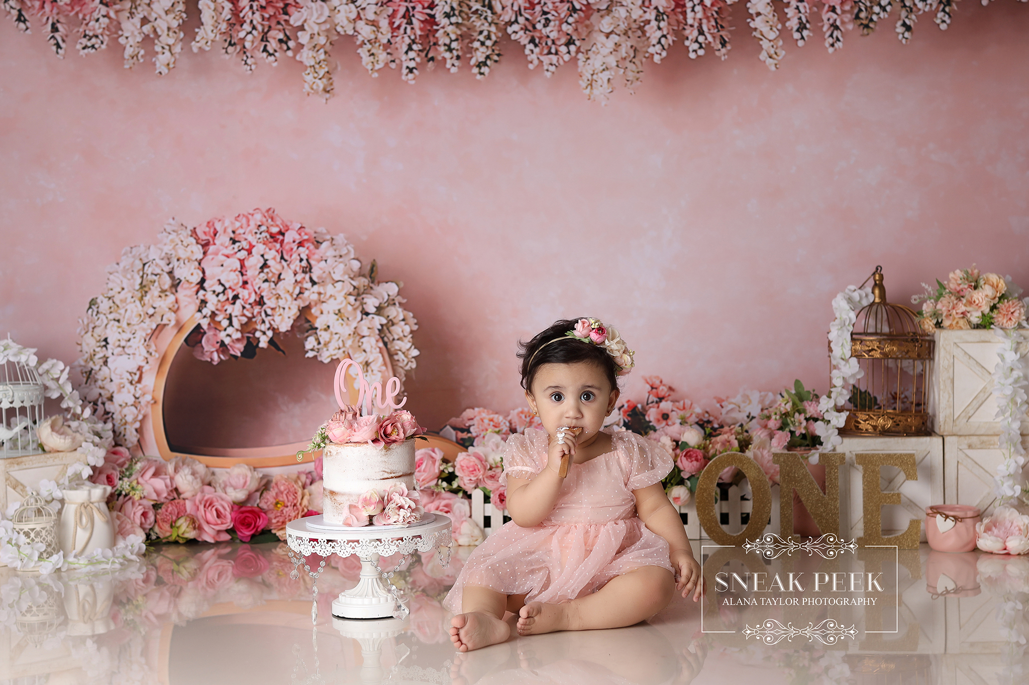 If Aleena had a resume, “Professional Non-Sitter” would absolutely be at the top! This girl has places to be, things to investigate, and not a single second to waste… unless, of course, there’s Cake involved. Suddenly the world stands still, and we all get to enjoy a miracle: Aleena sitting in one spot long enough to photograph.
Her Princess Floral Carriage theme was pure magic — soft pastels, delicate blooms, golden carriage details, and enough sparkle to make even the set look like it was having its own princess moment. Every element framed her perfectly as she alternated between royal curiosity and full-throttle excitement.
And once the cake arrived? Our little whirlwind transformed into a very focused princess with a very clear mission: investigate, taste, demolish, repeat. Honestly, it was iconic behaviour.
Happy First Birthday, Aleena — unstoppable explorer, cake-motivated sitter, and the newest member of the royal crumb-covered court. 👑🍰✨
#CakeSmashMelbourne #PrincessCakeSmash #FloralCarriageTheme #MelbourneBabyPhotographer #ClydePhotographer #BabyPhotographyMelbourne #AlanaTaylorPhotography
Melbourne’s Leading Newborn, Baby and Cake Smash Photographer – Book Early!
www.alanataylorphotography.com.au
Gorgeous Cake by @Procrastibakery & Eatery
https://www.facebook.com/profile.php?id=61558649999526
- Newborn Photography Melbourne
- Smash Cake Photography Melbourne
- Newborn Photographer Melbourne
- First Birthday Cake Smash Photos Melbourne
- Cake Smash Photography Near Me
- Cake Smash Photos Melbourne
- Newborn Photography Near Me
- Newborn Baby Photographer Melbourne
- Cake Smash Photographer Melbourne
- Affordable Newborn Photography Melbourne
#cakesmashphotographymelbourne #cakesmashphotographermelbourne #babyphotographermelbourne #firstbirthdayphotos #smashcakemelbourne #cakesmashfun #firstbirthdaycakesmash #firstbirthdaysmashcake #smashcakephotographermelbourne #cakesmashphotosmelbourne #babyphotographyideas #cakesmashideas #cakesmashsession #firstbirthdaysmashcake #babysmashcakephotos #babyphotographyprops #melbournemums #melbournebabyphotographer #cakesmashinspo