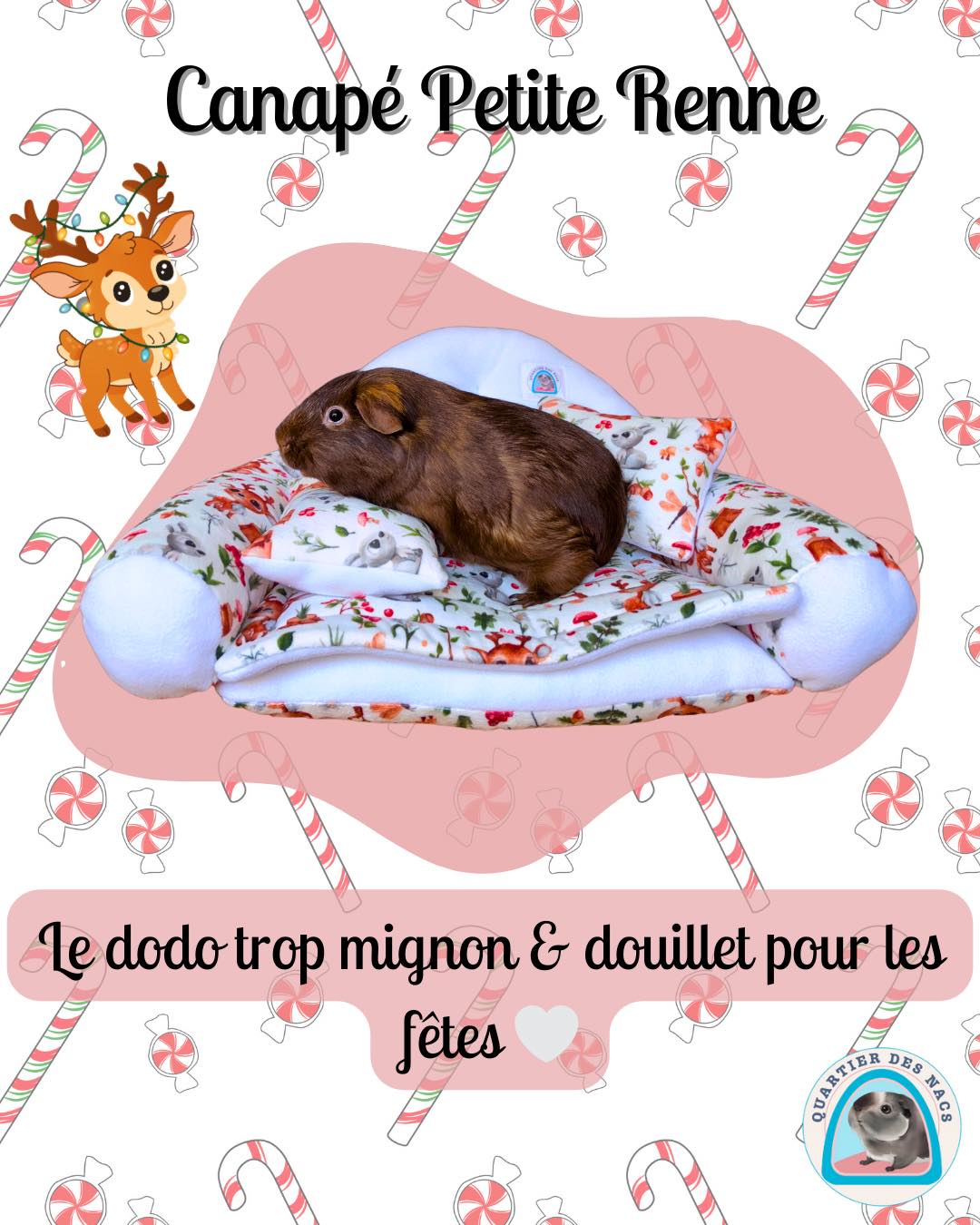 👉 Attention… gros craquage de Noël en vue !
🎄✨ Nouveauté de la Collection Noël !
Découvrez le Canapé Petite Renne, un dodo ultra cosy conçu pour apporter chaleur et douceur à vos lapins, cochons d’Inde et petits NAC 🐹💕
Réalisé en polaire imprimée Petite Renne et en polaire blanche ultra douce, il offre un confort incomparable tout l’hiver.
Son coussin rembourré d’ouatine assure une assise moelleuse, parfaite pour se blottir, se détendre ou faire une longue sieste au chaud ❄️
Un design adorable, un confort maximal, une fabrication artisanale pensée pour vos animaux… ✨
Disponible dès maintenant dans la Collection Noël 🎁
👉 Abonne-toi pour découvrir toutes nos nouveautés douillettes et profiter des exclus en avant-première !
🎁 Rappel du code promo
N’oublie pas d’utiliser ton code promo : NOEL10 pour profiter de 10% sur ta commande 🎄
Prenez soin de vos animaux avec Quartier Des Nacs 🐾
#cochondinde #lapin #animauxdecompagnie #bienetreanimal #rongeurs #noel