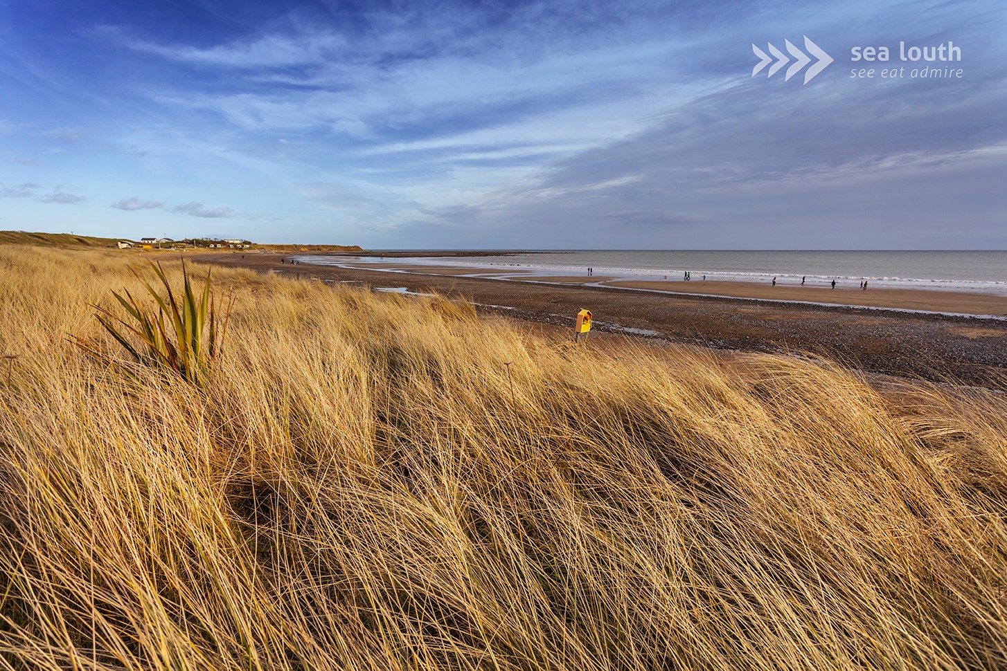 Golden grasses, gentle waves and plenty of space to roam 🌾🌊
Welcome to Templetown Beach; one of County Louth’s most peaceful and picturesque coastal gems. Wrap up for a winter wander and enjoy a winter beach walk: this is a perfect place to press pause.
Tucked along the Cooley Peninsula, Templetown is also a scenic stop on the Sea Louth trail – so be sure to grab your stamp and soak in the views while you’re at it! 🗺️💚
Info and details about Templetown beach here www.sealouth.ie/templetown-beach
#SeaLouth #IrelandsAncientEast #KeepDiscovering #See #Eat #Admire #TempletownBeach #VisitLouth #ScenicSeafoodTrail #WildCooley #BeachWalks