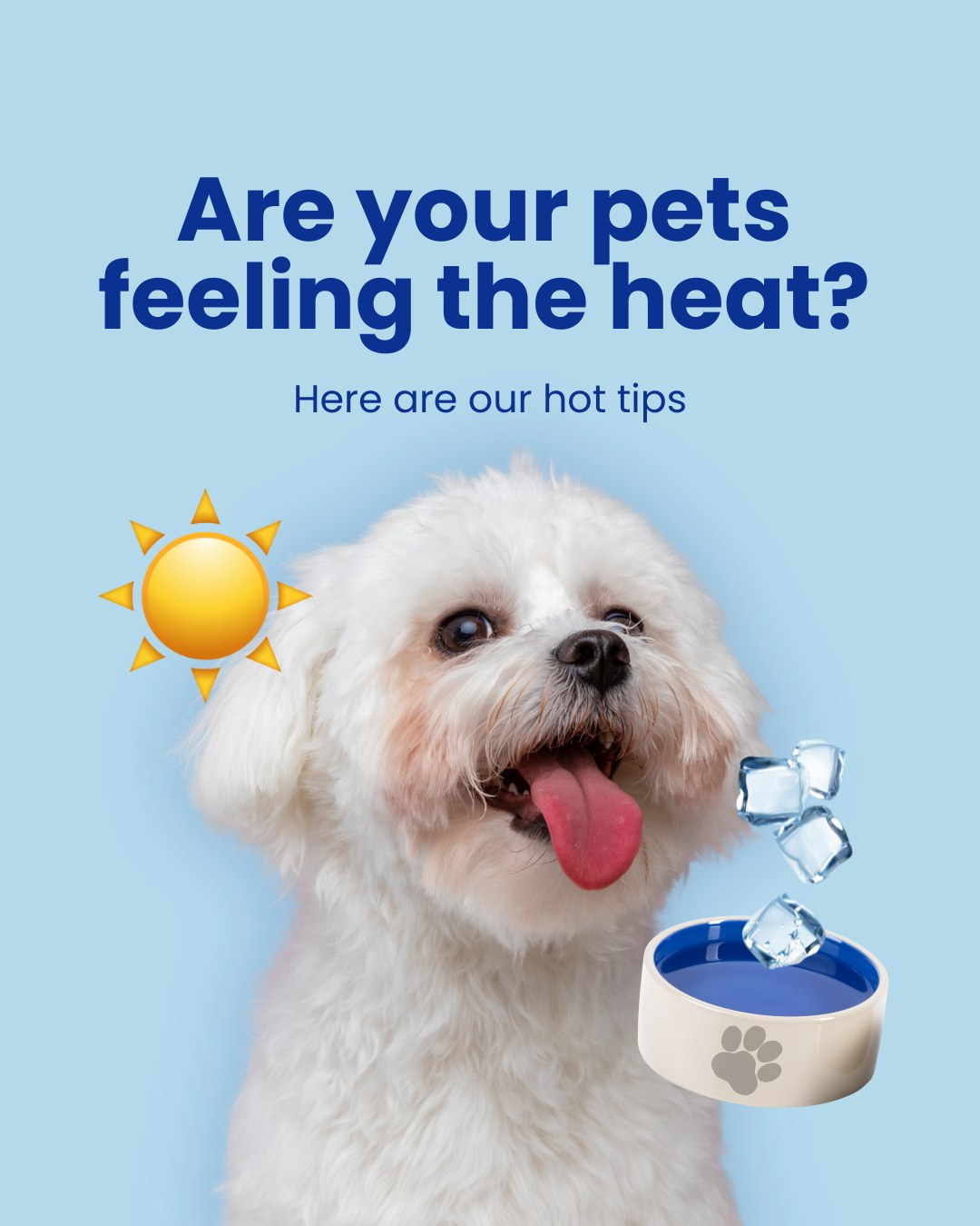 âïžđŸ Keeping your pet cool this summer?
Start with plenty of water, shade and no walking in the heat.
Because no one wants a cranky, overheated animal.
Save and share with a friend who has a pet!
#SummerWithChuru #SummerwithPets