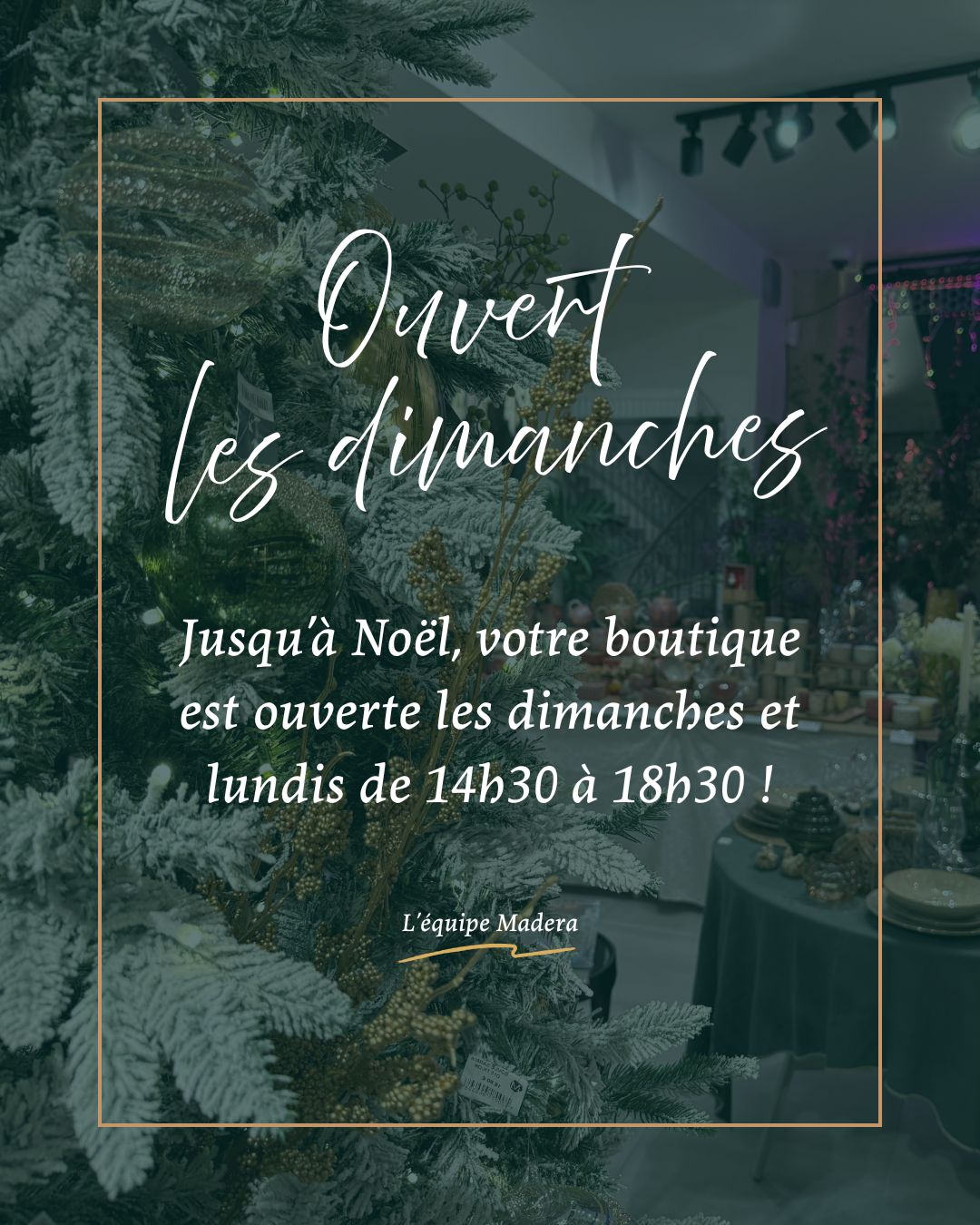 🎄✨ OUVERT DIMANCHE !
Jusqu’à Noël, votre boutique Madera est également ouverte les dimanches et les lundis de 14h30 à 18h30 pour préparer les fêtes en toute tranquillité. On vous attend pour faire le plein d’idées cadeaux et de déco ✨🎁
Pour les retardataires, nous serons ouverts non-stop de 9h à 19h le 23 et 24 décembre, et toute l’année du mardi au samedi de 10h à 13h et 14h à 19h !