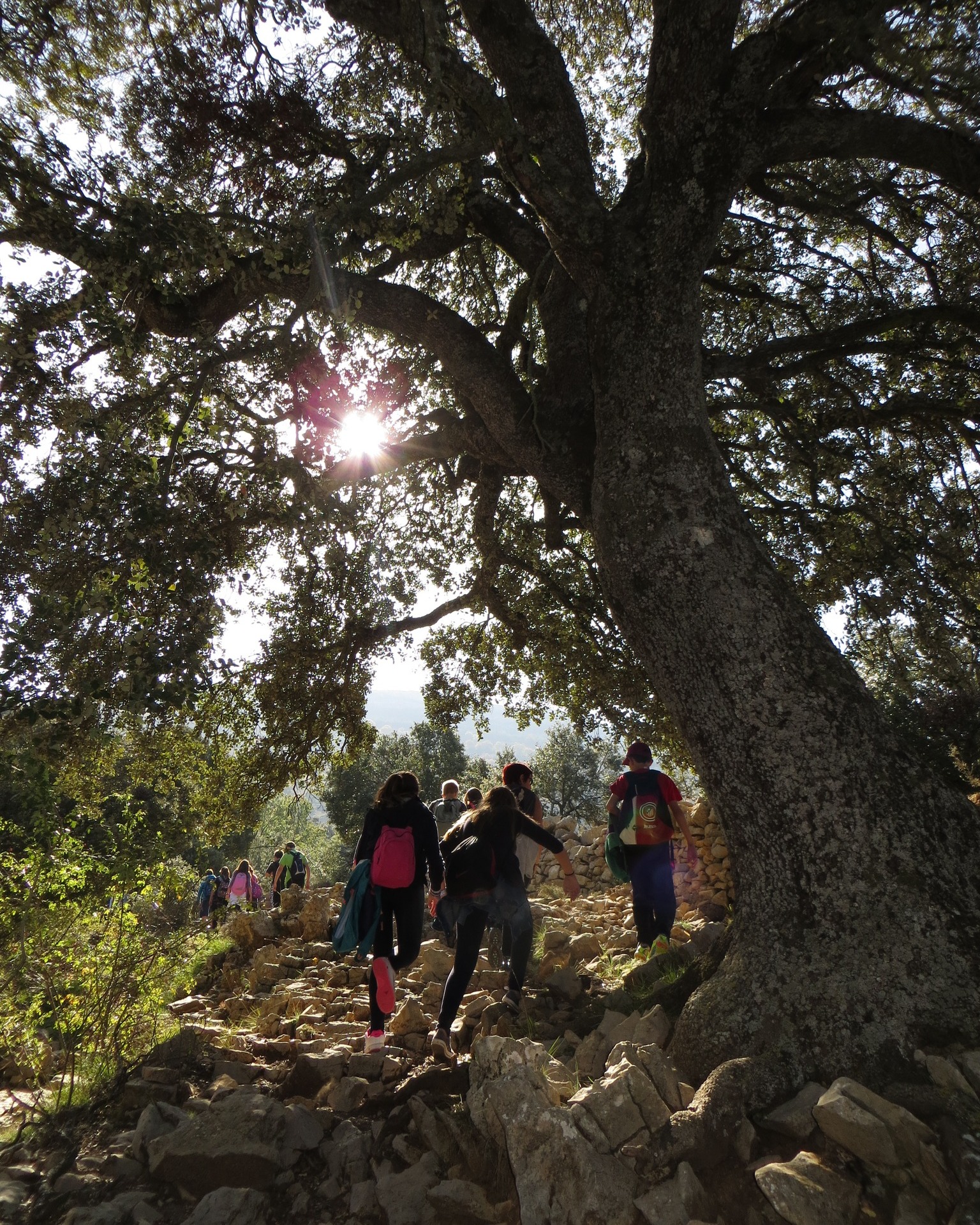 A La Parreta, una de les coses que més ens agrada és compartir les nostres activitats guiades 🌿👣
Moments per caminar sense pressa, descobrir racons que sovint passen desapercebuts i gaudir dels paisatges que donen vida al nostre entorn.
Ens encanta explicar curiositats, històries i secrets de la natura que ens envolta, i veure com cada persona descobreix Vilafranca amb una mirada nova ✨
Perquè quan coneixes el territori… el valores encara més.
Veniu a viure-ho amb nosaltres? 🏞️💚
#laparreta #alberglaparreta #turismocastellón #vilafranca #turismevilafranca #elsports