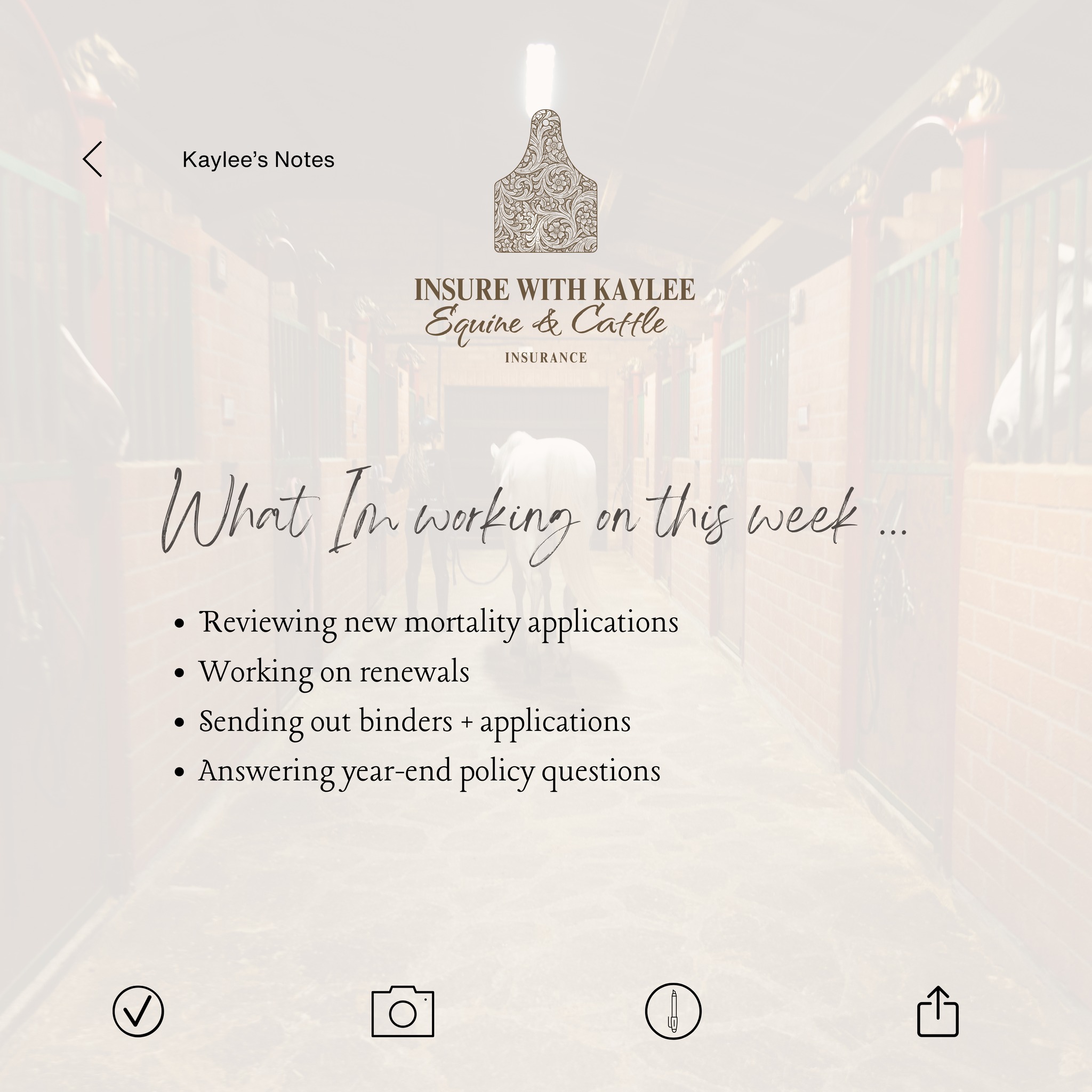 Here’s a little peek at what I’m working on this week — if you need help with anything before the holidays get crazy, I’m here!
https://www.insurewithkaylee.info/