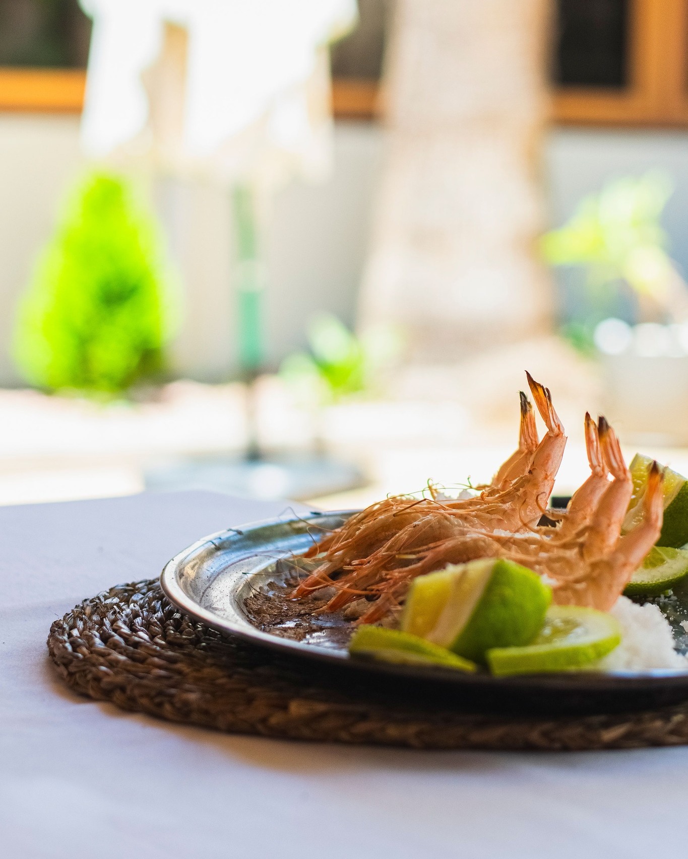 Cuando el producto marca la diferencia ✨
En El Soto de Vulcano trabajamos con una premisa clara: respetar la materia prima.
Seleccionamos cuidadosamente nuestro producto, buscando siempre lo mejor del mercado, fresco y de temporada
Nuestra cocina comienza en el origen..
📍 El Soto de Vulcano – Carril del Soto, 14 (junto al Paseo del Malecón)
📞 667 384 568 / 968 953 945
🌐 restaurantevulcano.com
#CocinaDeProducto #ElSotoDeVulcano #MurciaGastronómica #GastronomíaHonesta #AltaCocina #BrasaConIdentidad