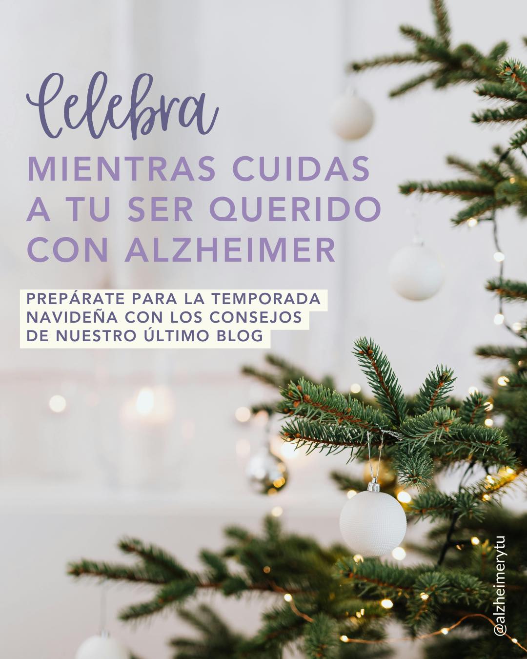 La temporada Navideña puede ser hermosa o muy abrumadora, prepárate para que celebres mientras cuidas a tu ser querido con Alzheimer.
Aquí te compartimos algunos consejos para crear un ambiente más amable, tanto para ti como para tu ser querido 💜
Lee el nuestro último blog para más consejos en el link del bio 🫶🏻
#AlzheimerYTú #AlzheimerNoEsOlvido