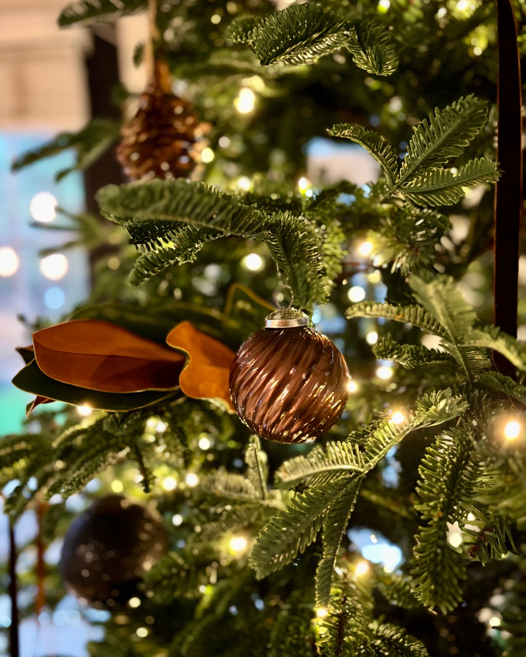 All I want for Christmas is chocolate…
and a tree that reminds us why we gather. ✨
Evergreens have always symbolized life that carries us through the dark seasons—hope, warmth, and the promise of brighter days.
Paired with magnolia and gentle glow, it becomes more than décor… it becomes a feeling.