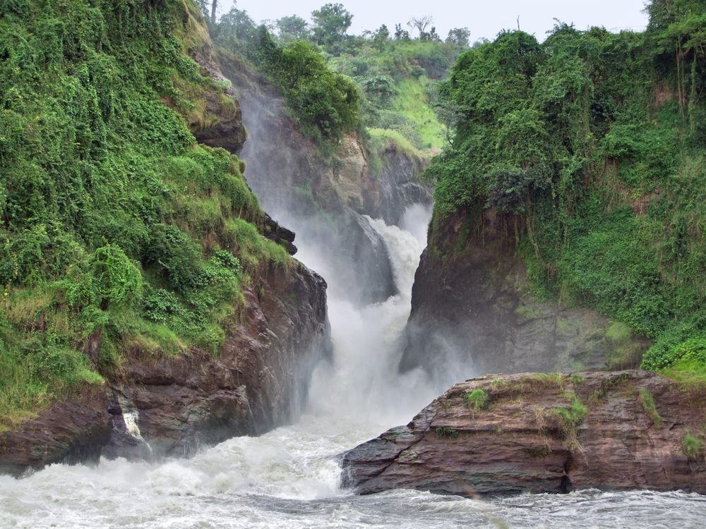 🇬🇧 Are you ready to uncover the wonders of Uganda? Our Primates Tour is meticulously crafted to take you beyond the ordinary, introducing you to both well-known and lesser-known places that are rich in biodiversity and culture. Let’s embark on this journey together and create memories that will last a lifetime.
🇩🇪 Sind Sie bereit, die Wunder Ugandas zu entdecken? Unsere Primaten-Tour wurde sorgfältig zusammengestellt, um Ihnen ein außergewöhnliches Erlebnis zu bieten und Ihnen sowohl bekannte als auch weniger bekannte Orte zu zeigen, die reich an biologischer Vielfalt und Kultur sind. Begeben wir uns gemeinsam auf diese Reise und schaffen wir Erinnerungen, die ein Leben lang bleiben
🇫🇷 Êtes-vous prêt à découvrir les merveilles de l'Ouganda ? Notre circuit Primates Tour a été méticuleusement conçu pour vous faire sortir des sentiers battus et vous faire découvrir des lieux connus et moins connus, riches en biodiversité et en culture. Embarquons ensemble dans cette aventure et créons des souvenirs qui resteront gravés à jamais dans votre mémoire.
https://www.trouverafrica.com/explore-destinations/uganda-rwanda/primates