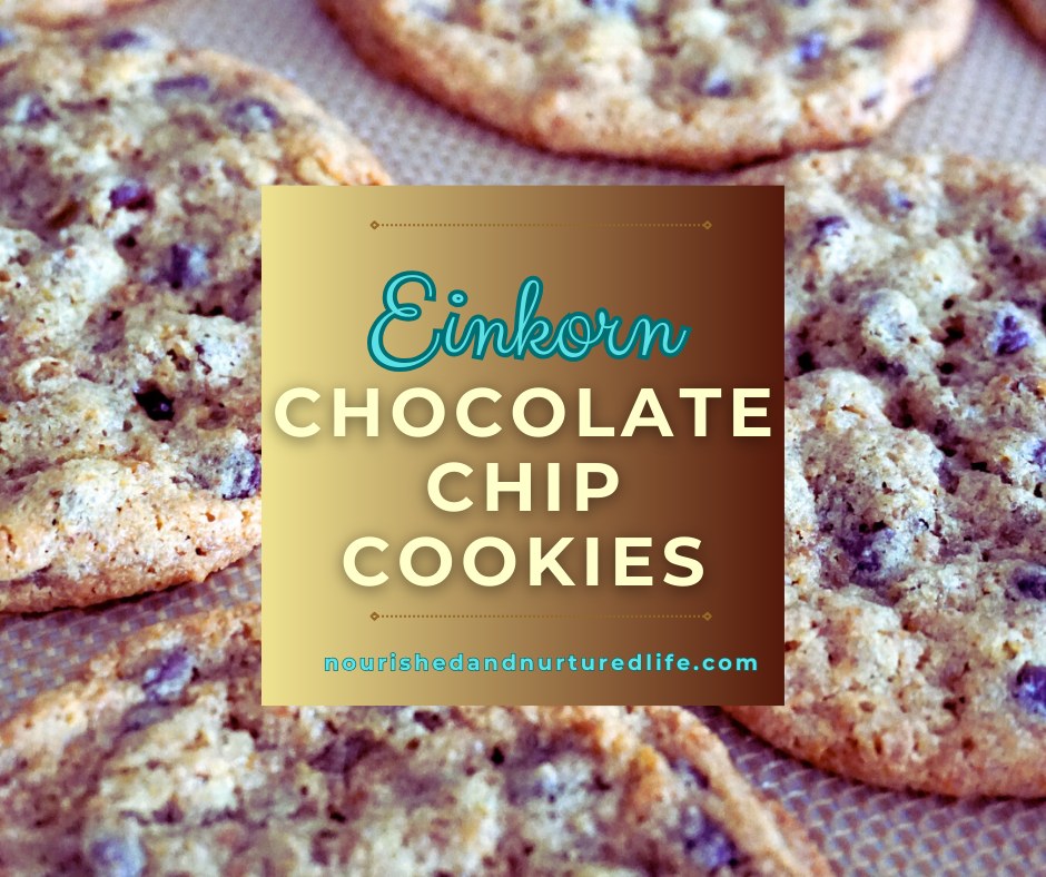 🍪🍪🍪EINKORN CHOCOLATE CHIP COOKIES: These cookies are made with Einkorn flour, which is unhybridized wheat that is higher in protein and lower in gluten than modern wheat. Many people who cannot tolerate modern wheat can do well with Einkorn! 😍 Plenty of nutrient-dense butter in these cookies gives them a little punch of fat-soluble vitamins A, D, E, and K2.
🍫🧈🥚INGREDIENTS:
***2 cups Einkorn all-purpose flour
***1 tsp baking soda
***3/4 tsp salt
***1 cup (2 sticks) butter, at room temperature (preferably nutrient-dense butter)
***1/2 to 1 cup sucanat (use 1/2 cup if you want the cookies to be less sweet, or 1 cup if you like your cookies sweeter)
***1/2 cup organic sugar
***1 egg, preferably from pastured hens
***1 tsp vanilla extract
***10 ounces of mini chocolate chips (I use Enjoy Life soy-free mini chocolate chips)
GET THE FULL RECIPE HERE 👇👇👇: https://www.nourishedandnurturedlife.com/post/einkorn-chocolate-chip-cookies