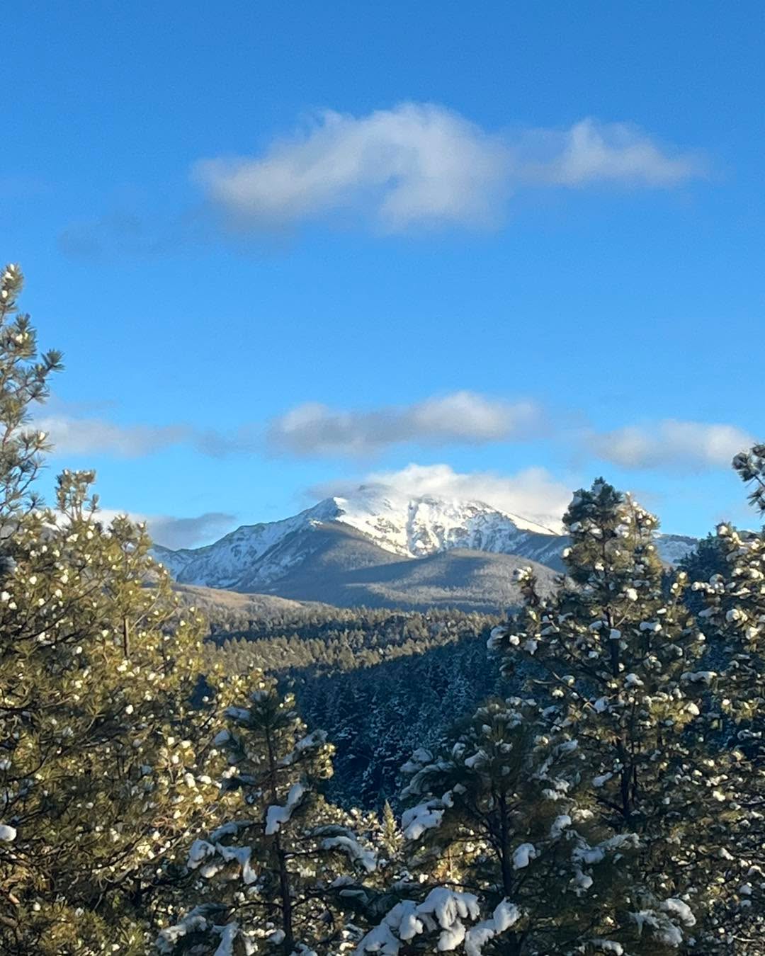 Today : Back to Truchas Forest
Truchas peak is ober 13000 ft