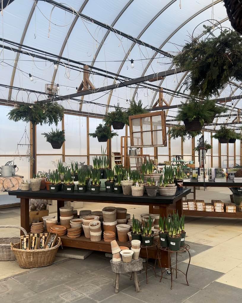 Come visit our warm greenhouse for gifts when you pick up your tree!
We have something for everyone this holiday season!
We’re open 9-5 today!
#gardencenterlife #gardencenter #stcharlesillinois #genevaillinois #bataviaillinois #sugargroveil #oswegoil #stcharlesil #auroraillinois #genevail #oswegoillinois #bataviail #sugargroveillinois #aurorail #hangingbaskets