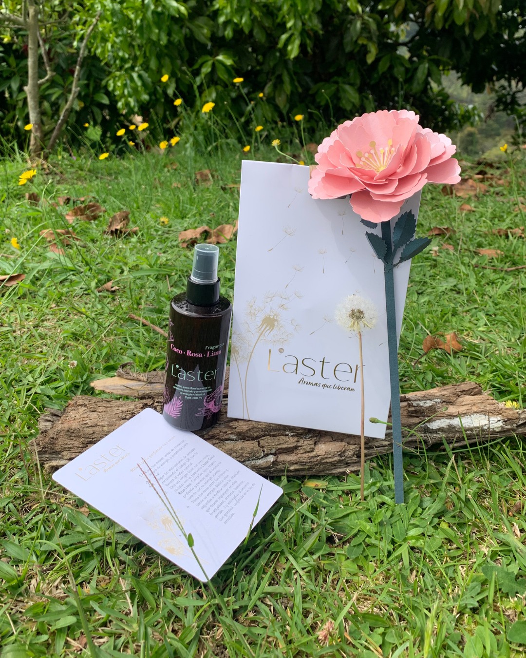 🌸✨ Ritual Florecer ✨🌸
Un detalle que florece desde el alma.
Este obsequio no solo se entrega… se vive. Incluye aroma, piezas de flores para armar y QR con tutorial, ritual impreso y un empaque lleno de bienestar para regalar presencia, gratitud y nuevos comienzos.
🎄Navidad 🌹florecer 🍃naturalmente con L'aster.
Escríbenos para pedir el tuyo.📦 Envíos disponibles
.
.
.
.
.
.
#RitualFlorecer #DetallesConAlma #RegalosConIntención #AmorPresente #FlorecerDesdeAdentro