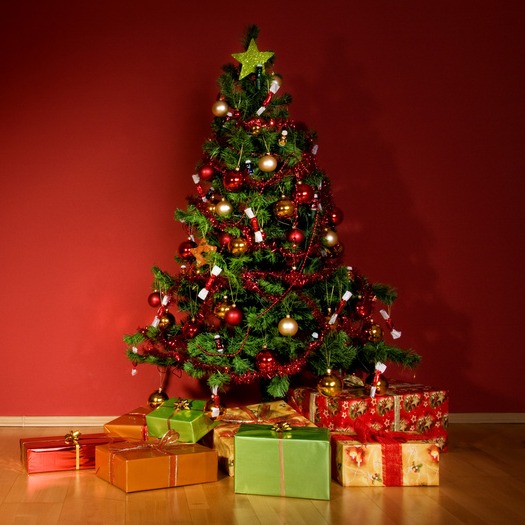 Liebe Kunden,
wir haben vom 22.12. bis 06.01.2026 geschlossen. Am Mittwoch, den 07.01. sind wir wieder zu den gewohnten Öffnungszeiten für euch da.
Wir wünschen Euch allen ein frohes und gesegnetes Weihnachtsfest und einen guten Rutsch ins neue Jahr.
Eurer Team von Pizzeria Cortina.