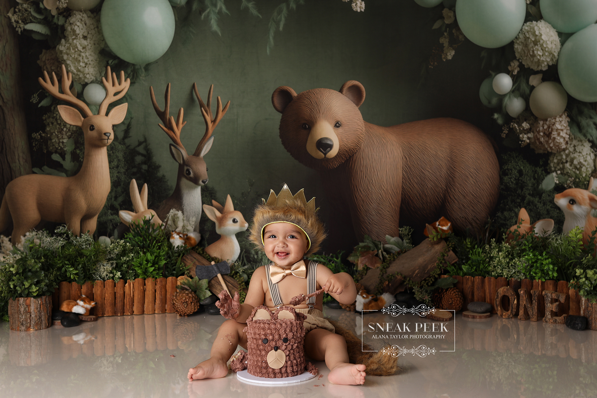 This Woodland meets Where the Wild Ones Are Theme transformed the studio into a tiny forest kingdom, perfectly suited for its own little king of the wild — Yodha.
It created the perfect backdrop for a birthday boy who brings Sunshine wherever he goes.
He is genuinely one of the happiest, smiliest babies I’ve ever photographed — the kind of grin that lights up a room, softens even the grumpiest adult, and makes every photo look like it belongs on a billboard for “Instant Joy.”
With lush greens, layered textures, rustic logs, and a bear-shaped cake that never stood a chance, the entire setup felt straight out of a storybook. And yes, in true first-birthday fashion, Yodha proudly turned that cake into modern art within minutes.
He absolutely nailed the Wild One vibe — adorable, cheeky, and completely committed to the cause of cake destruction.
Happy First Birthday, Yodha — woodland royalty, smile machine, and undefeated champion of joyful chaos. 🌿🐻✨
#CakeSmashMelbourne #WoodlandCakeSmash #WildOneCakeSmash #MelbourneBabyPhotographer #ClydePhotographer #BabyPhotographyMelbourne #AlanaTaylorPhotography
Melbourne’s Leading Newborn, Baby and Cake Smash Photographer – Book Early!
www.alanataylorphotography.com.au
Gorgeous Cake by @Procrastibakery & Eatery
https://www.facebook.com/profile.php?id=61558649999526
- Newborn Photography Melbourne
- Smash Cake Photography Melbourne
- Newborn Photographer Melbourne
- First Birthday Cake Smash Photos Melbourne
- Cake Smash Photography Near Me
- Cake Smash Photos Melbourne
- Newborn Photography Near Me
- Newborn Baby Photographer Melbourne
- Cake Smash Photographer Melbourne
- Affordable Newborn Photography Melbourne
#cakesmashphotographymelbourne #cakesmashphotographermelbourne #babyphotographermelbourne #firstbirthdayphotos #smashcakemelbourne #cakesmashfun #firstbirthdaycakesmash #firstbirthdaysmashcake #smashcakephotographermelbourne #cakesmashphotosmelbourne #babyphotographyideas #cakesmashideas #cakesmashsession #firstbirthdaysmashcake #babysmashcakephotos #babyphotographyprops #melbournemums #melbournebabyphotographer #cakesmashinspo