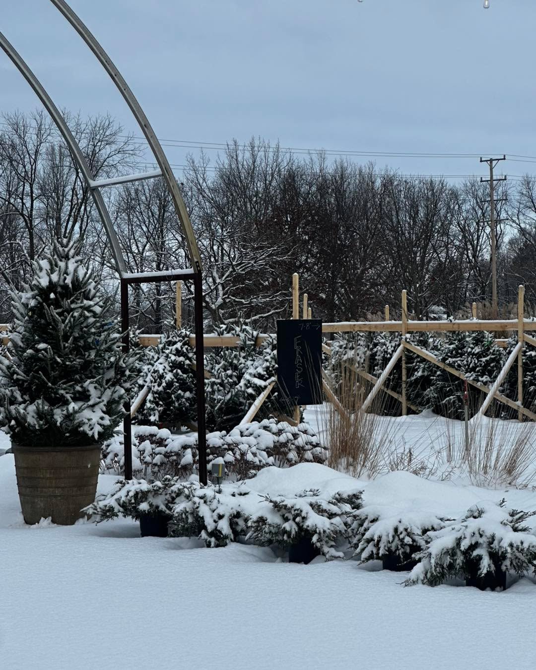 Looking to get out and grab your tree?
Or visit the greenhouse and shop some fun gifts and accessories?
We also can’t wait to host our porch pot class today!
We’re open 9-3 today!
#greenhouse #hangingbasketsofinstagram #gardencenterlife #gardencenter #stcharlesillinois #genevaillinois #bataviaillinois #sugargroveil #oswegoil #stcharlesil #auroraillinois #genevail #oswegoillinois #bataviail #sugargroveillinois #aurorail