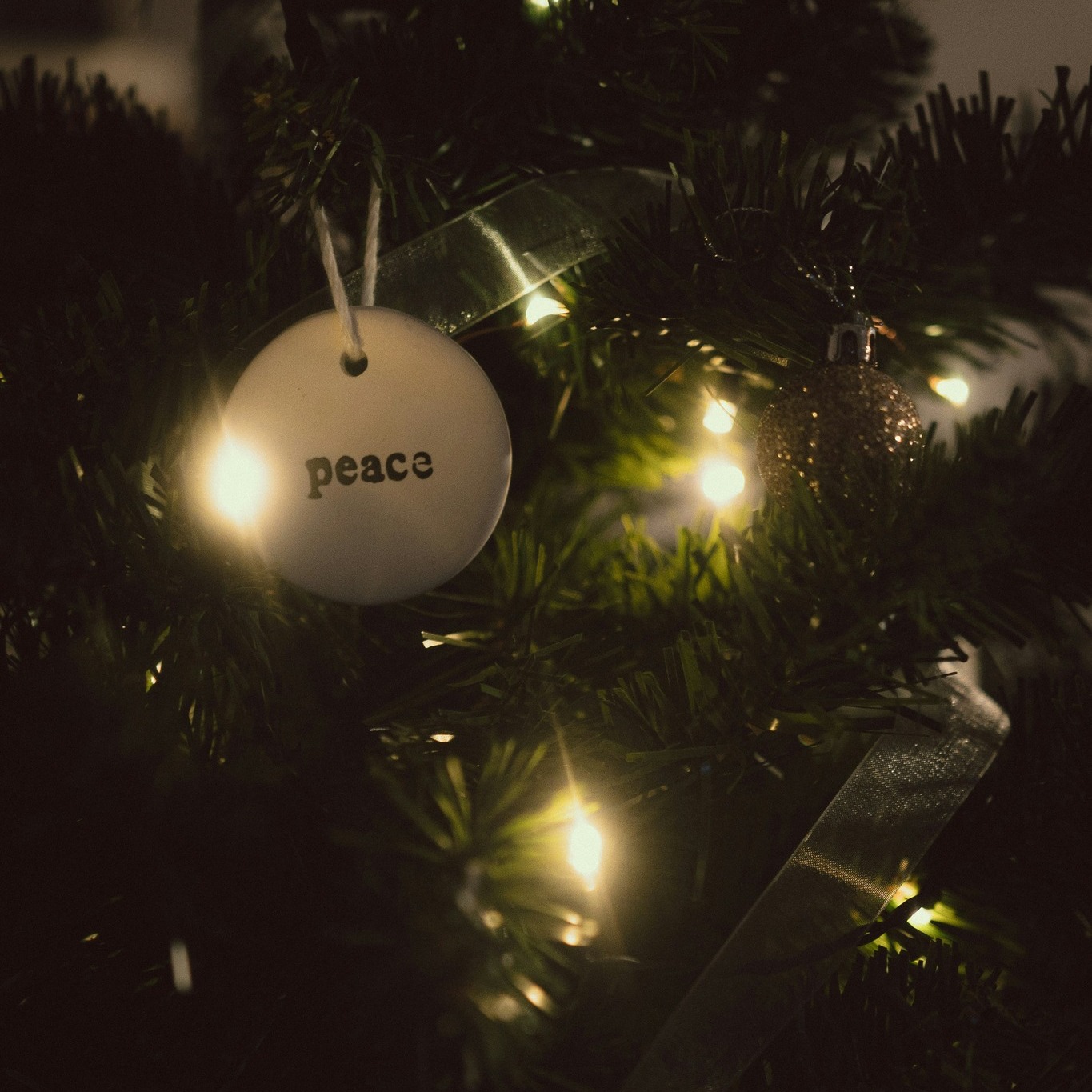 Advent Week Two: The Promise of Peace
Peace doesn’t always mean quiet circumstances. Sometimes it simply means a quiet heart.
As we step into the second week of Advent, we’re reminded that the peace Jesus brings is not the kind the world understands. It’s not the absence of chaos, the removal of storms, or the solving of every problem. In fact, much of Scripture shows us the opposite: God’s people often found His peace in the middle of circumstances that made no sense.
Our world will always succumb to a certain level of chaos. Yahweh knows this. Yet, Christ descended from His heavenly realm into our chaos that we might fully understand peace and Who it comes from.
This week’s Advent theme reminds us that Jesus brings peace INTO the storm, not always OUT OF it.
Think of the disciples, terrified as waves crashed over their boat. Jesus didn’t wait for the weather to calm before showing up. He spoke peace right into the chaos. And He’s still doing that for us today. The peace He offers is the kind that settles your heart even when nothing around you is settled. The kind that steadies your breathing when life feels overwhelming.
Advent invites us to slow down and look for His presence, even when life is loud. His peace is not fragile. It does not depend on circumstances cooperating. It flows from who He is: Emmanuel, God with us.
So as you move through this week, may you experience His peace not because everything is calm, but because He is near.
Wishing you all God's love and smiles, beautiful ones.
Advent Reading Day 8: Luke Chapter 3