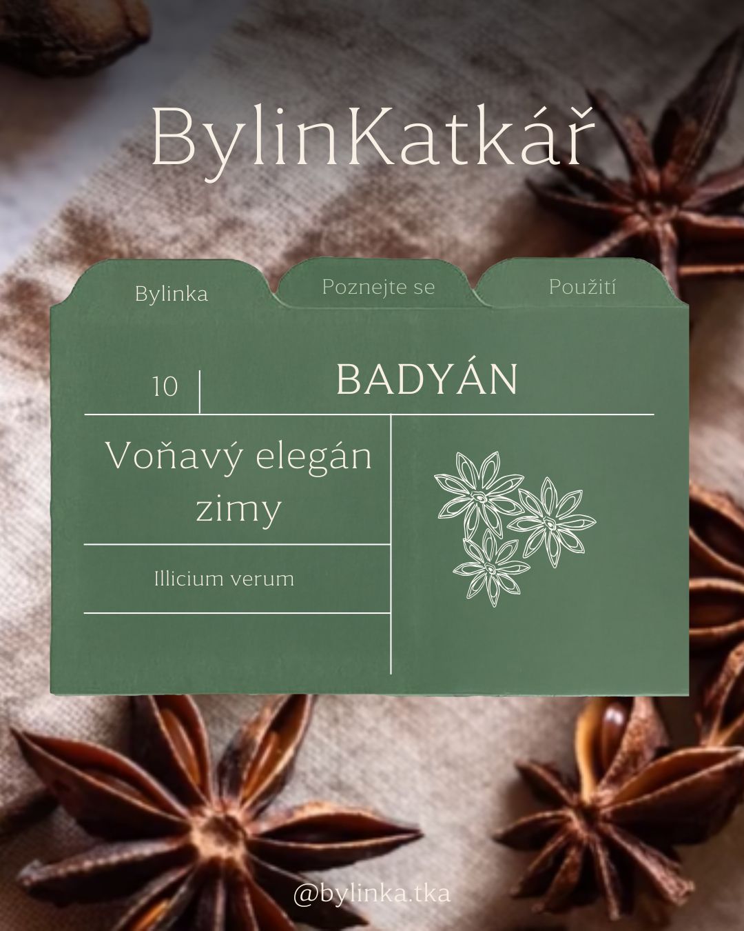 ✨ BylinKatkář – BADYÁN
Voňavý zimní elegán, který k Vánocům zkrátka patří.
Badyán miluju pro jeho hřejivost, jemnou sladkost a to, jak krásně umí podpořit trávení i zimní večery.
Ať už ho přidáš do čaje, sirupu, medu nebo jen do hrnce při svařáku, tahle hvězdička má překvapivě velkou sílu.
A hlavně – vždycky provoní celý dům.
Jak badyán používáš ty? 🌟
#bylinkatkar #bylinky #badyan #vanoce #zimnivune