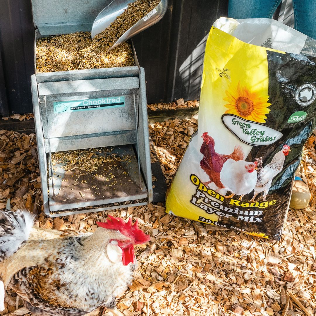 If nourishing your flock with a balanced diet is a puzzle to you, our Premium Layer Poultry Mix is the perfect feed for your hens or fowl.
Formulated to be a complete feed, no guess work needed. Our team do all the balancing of protein, minerals and vitamins to provide your flock the best nutrients for their wellbeing.
PLUS we add ProN8ure to support their gut microbiome 🙌🏻
Love to know more? Check out the link in our Bio ⬆
#greenvalleygrains🇦🇺 #australianchickens #ProN8ure #chickensaspets🐓🐓🐓 #backyardchickens ⬆