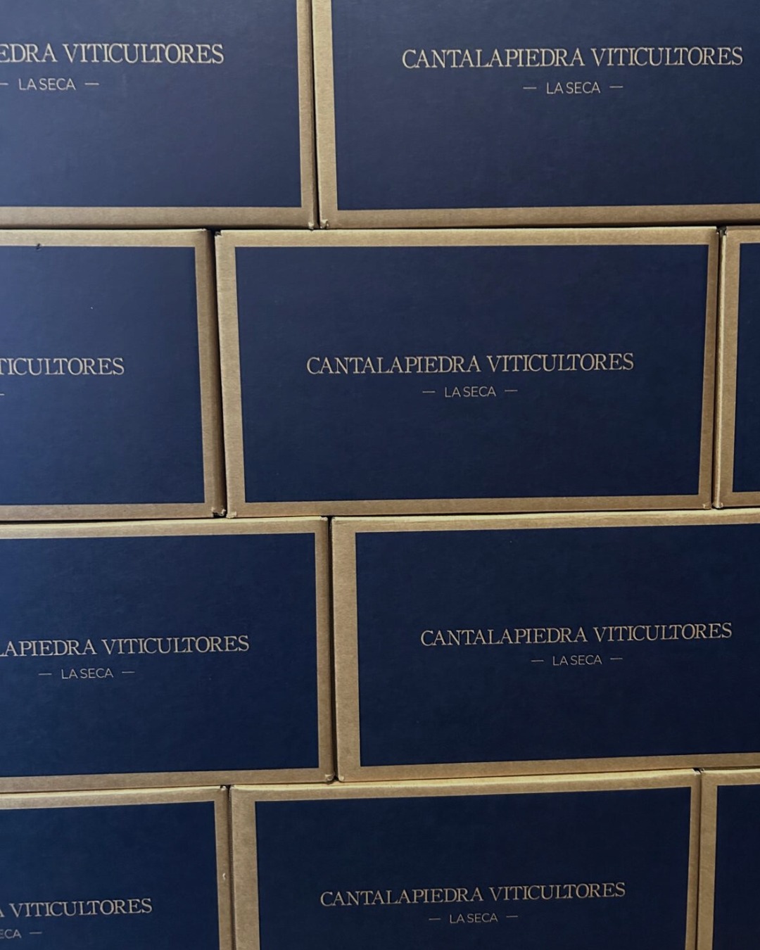 Una bodega que lleva generaciones trabajando la tierra en La Seca, corazón de la Denominación de Origen Rueda. Este mes de diciembre nos llegan nuevas añadas de La Otea, Majuelo El Espejo, Majuelo del Chiviritero y Cantayana.
Y como novedad de la bodega, tenemos OBERTURA, el nuevo proyecto personal de Manuel Cantalapiedra, un verdejo que nace desde la libertad creativa y la búsqueda de pureza absoluta. Elaborado en producciones muy limitadas, combina crianza en barrica y acero para lograr un vino profundo, preciso y lleno de intención. Un blanco con carácter, concentrado pero equilibrado, que se aleja de lo convencional y muestra la faceta más íntima y expresiva del viticultor. Un estreno que amplía el universo Cantalapiedra con una personalidad única.
🌐 Descubre estos vinos y muchas más novedades en nuestra página web.