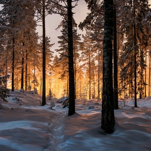 Winter Solstice Morning Ritual: Move Toward the Light
As the days begin to lengthen again, greet the morning with 3 Sun Breaths — reach up, open your heart, and exhale into a soft forward fold.
This simple practice revitalizes the nervous system and welcomes the return of light.
Crystal to support this practice:
✨ Citrine — energizing, confidence-boosting, and perfect for calling in brighter days.
Blessed Be
#solstice #winter #ritual #breathe #breath #citrine #revitalize #yoga #yogaokc #yogaofinstagram #energize #confident #brighterdaysahead #crystals #crystalsofinstagram