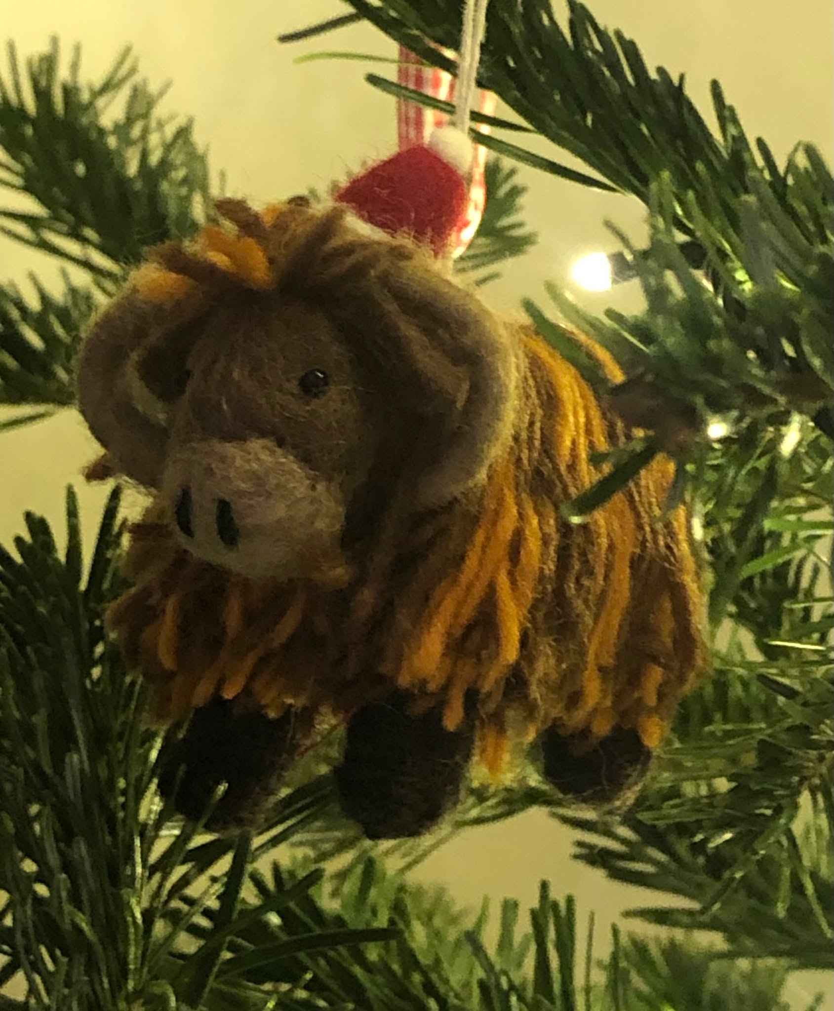 Christmas trees at Oxford's Christ Church have decorations linked to this famous college. This charmer represents the longhorn cattle that graze in the meadow outside.
#offbeatcotswolds #bluebadgeguide #bluebadgeguides
#britainsbestguides #christchurchoxford #longhorn
#explore_britain_ #traveling_uk
#photosofengland #instabritain #europetravel