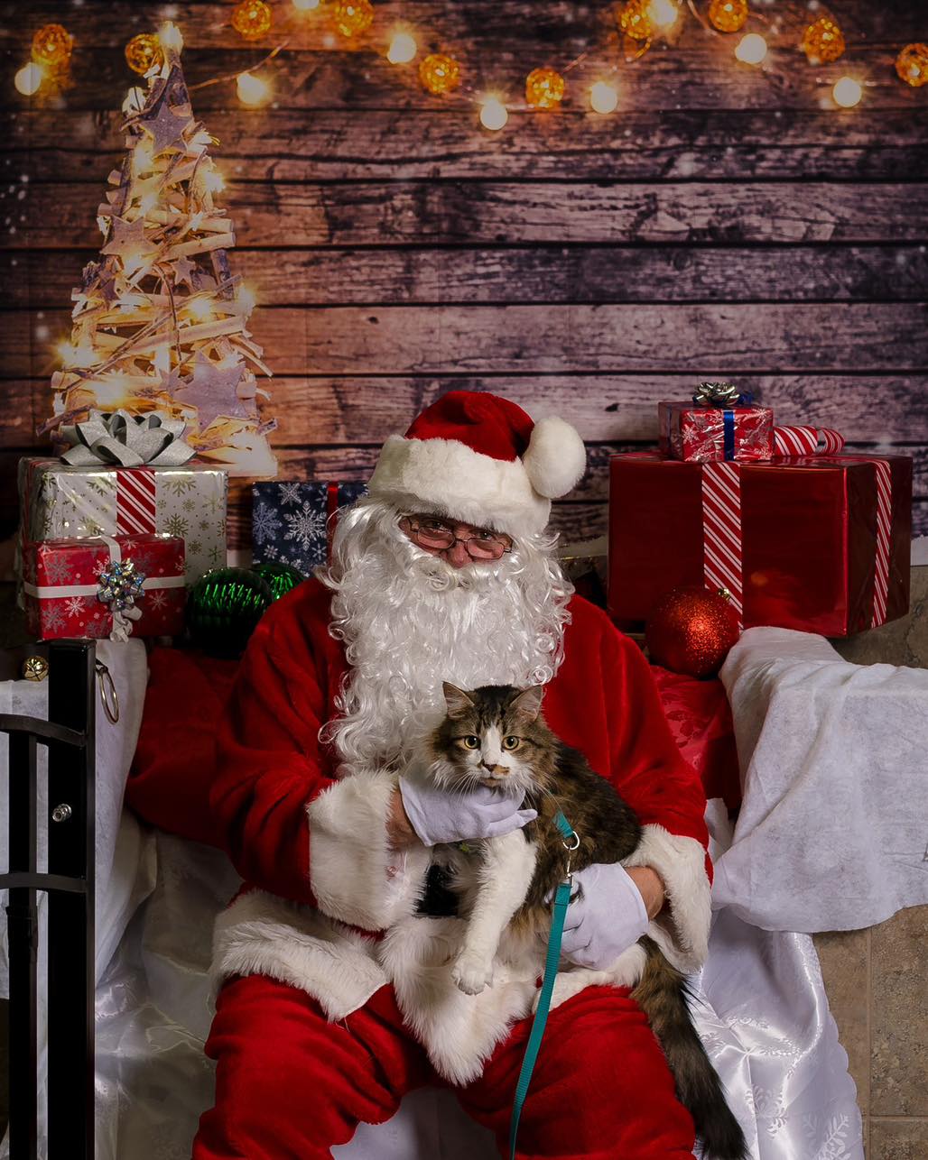 Come on down to the Hungarian Hall tomorrow from 12–4 pm for the Yule Market — and grab a festive photo with Santa and your pet 🐾🎅
📸 Minimum donation: $5
Your photos will be edited and available within a week.
It’s the perfect chance to get some adorable holiday photos and support a great community event. See you there! ❤️✨
Hashtags:
#YuleMarket #HungarianHall #PetPhotosWithSanta #ChristmasMarket #HolidayPhotos #LethbridgeEvents #SouthernAlbertaPhotography #MeganKelseyPhotography #ChristmasWithPets #FestiveFun #SupportLocal 🎄✨