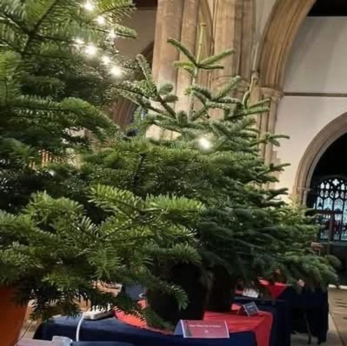 🎄 TREE SALE TODAY! 🎄
Good morning! The Festival trees are looking for new homes TODAY!
📍 St Paul's Church, Bedford
💰 £15 per tree (cash preferred)
⏰ 10am - 1pm
What you get:
A beautiful, real Christmas tree that's been part of the 25th Bedford Christmas Tree Festival!
What to know:
✅ Undecorated trees
✅ Cut trees (no roots)
✅ Not netted
✅ First come, first served
✅ Bring transport
Get your tree while supporting a great cause - all proceeds help Bedford Hospital & St Paul's Church! 🎄💙
See you shortly!
Charities: Free trees still available - please arrive with proof of the charity you work for.
#BedfordChristmasTreeFestival #ChristmasTrees #TreeSale #Bedford