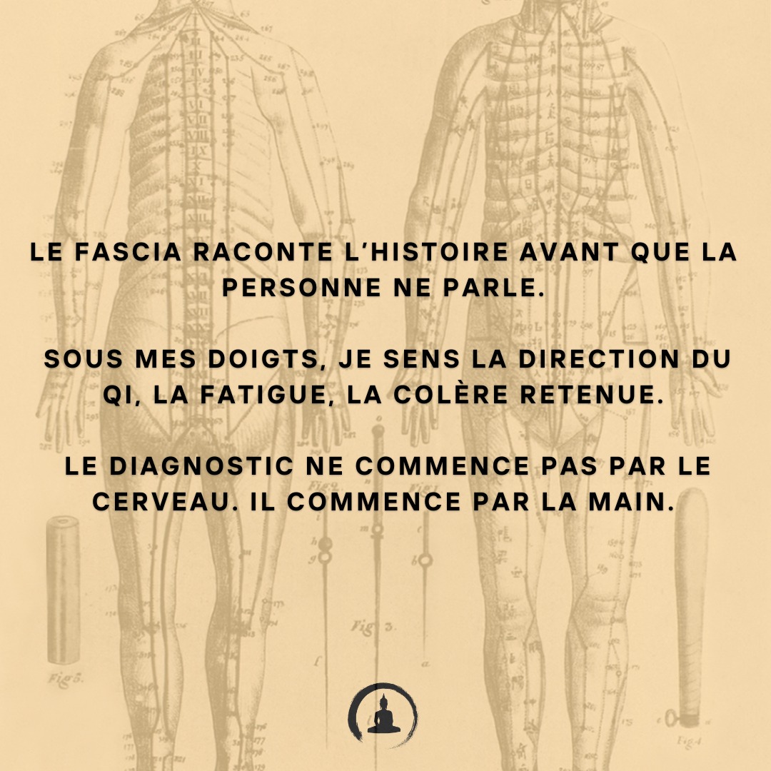 Le fascia raconte l’histoire avant que la personne ne parle.
Sous mes doigts, je sens la direction du Qi, la fatigue, la colère retenue.
Le diagnostic ne commence pas par le cerveau.
Il commence par la main.
#MédecineChinoise #ConscienceDigestive #SantéHolistique #MangerEnConscience #ÉcouteDuCorps #MédecineÉnergétique #AlimentationConsciente #DigestionNaturelle #Qi #Fascias #RespectDuCorps #BienManger #SagesseDuCorps #SantéNaturelle #SoutienDigestif #TaoDeLaSanté #SantéPréventive #ÉquilibreIntérieur #AlimentationÉnergétique