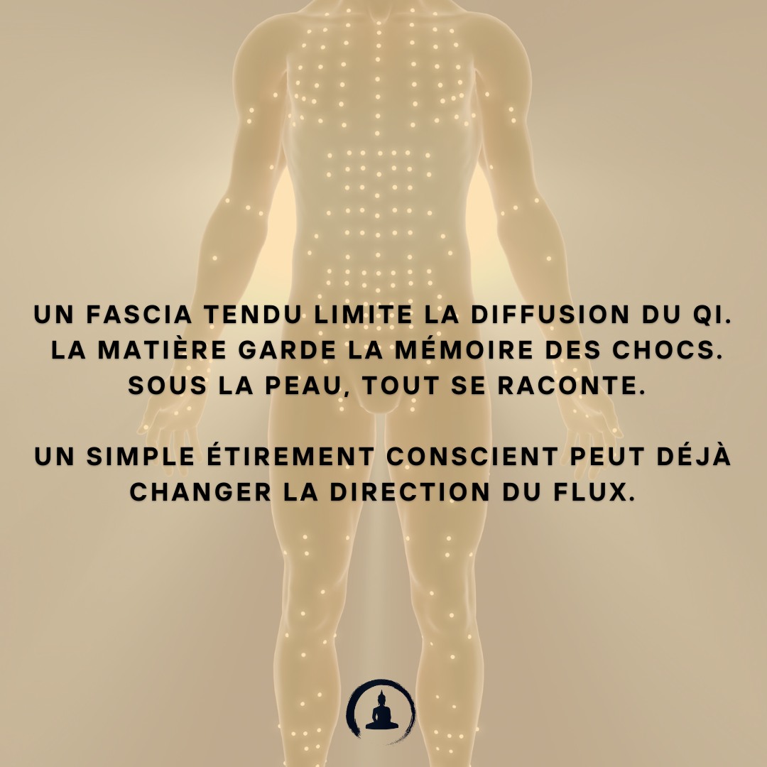 Un fascia tendu limite la diffusion du Qi.
La matière garde la mémoire des chocs.
Sous la peau, tout se raconte.
Un simple étirement conscient peut déjà changer la direction du flux.
#MédecineChinoise #ConscienceDigestive #SantéHolistique #MangerEnConscience #ÉcouteDuCorps #MédecineÉnergétique #AlimentationConsciente #DigestionNaturelle #Qi #Fascias #RespectDuCorps #BienManger #SagesseDuCorps #SantéNaturelle #SoutienDigestif #TaoDeLaSanté #SantéPréventive #ÉquilibreIntérieur #AlimentationÉnergétique