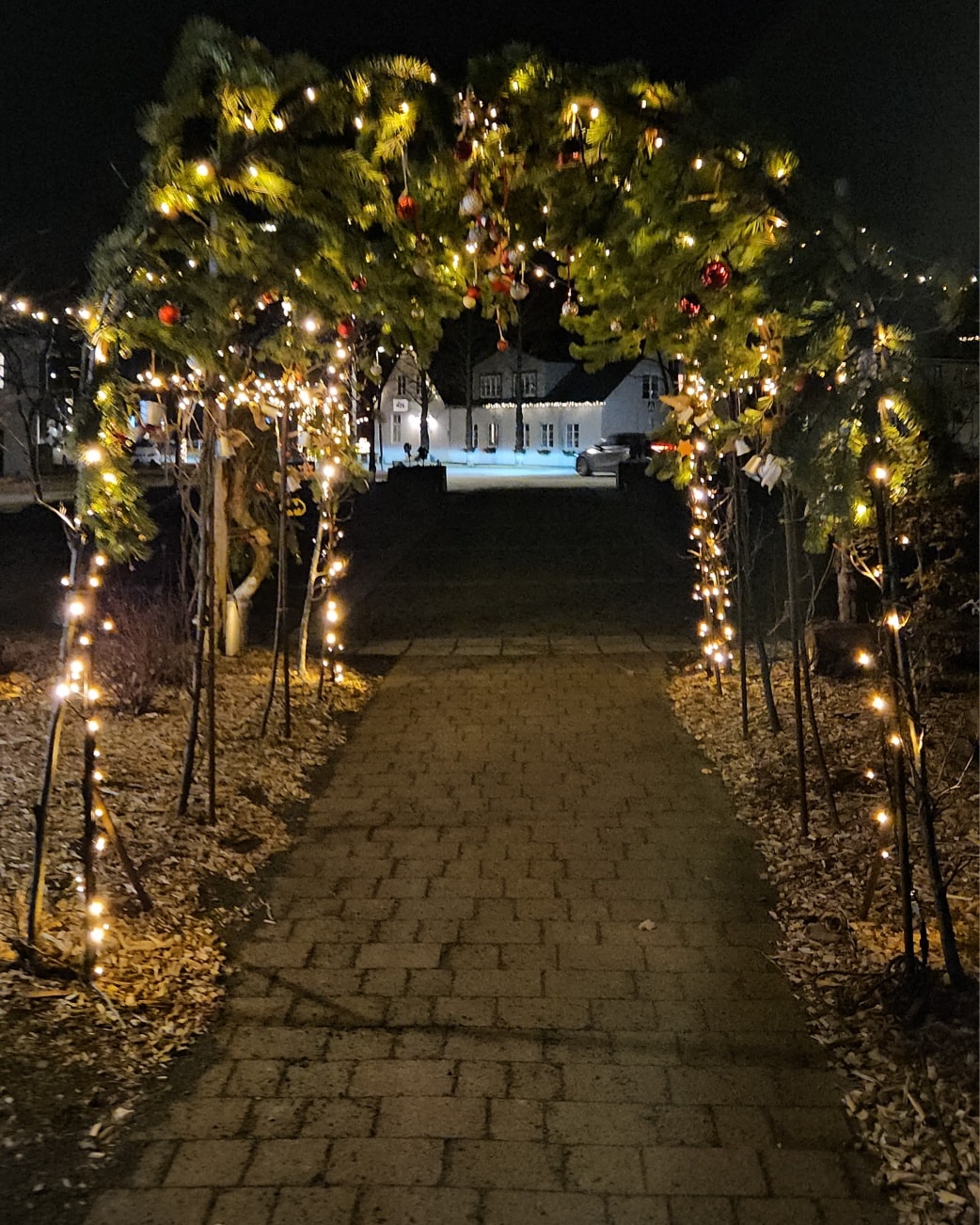 Hveragerði is all dressed up for Christmas. If you are staying here, make sure to go out and explore.
#christmasdecorating #christmastime #hveragerði #iceland #explore