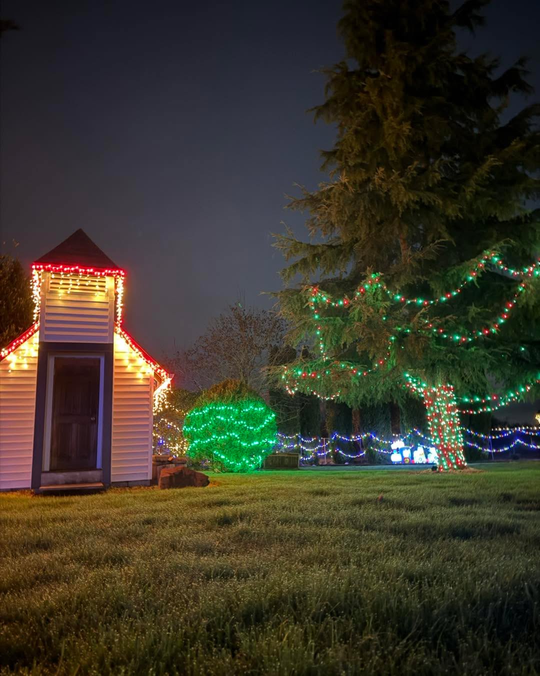 OPEN Saturday and Sunday Night
5-8:15p
πβ¨βοΈπβοΈβ¨π
Holiday Light Night Rides
Dress cozy and get ready to share holiday cheer with friends and family! Come for a 1/4 scale train ride through 4 acres filled with thousands and thousands of sparkling lights.
Running Wednesdays, Saturdays & Sundays
π
December 3 β 21
β¨ Special Last Night: Thursday, December 25
π 5:00 β 8:15 PM
Rides:
π¨βπ©βπ§βπ¦ Adult (ages 13+): $9
π Child (ages 2β12): $8
πΌ 1 and under: Free
* A ticket is required for all guests to enter and enjoy the park.
π Ride lasts about 8β10 minutes
ποΈ No advanced tickets β first come, first ride
π Carpooling encouraged
π΅ Cash preferred; cards, Apple Pay, and Google Pay accepted (with small fee)
Come make holiday memories with us at Tennessee Thunder!