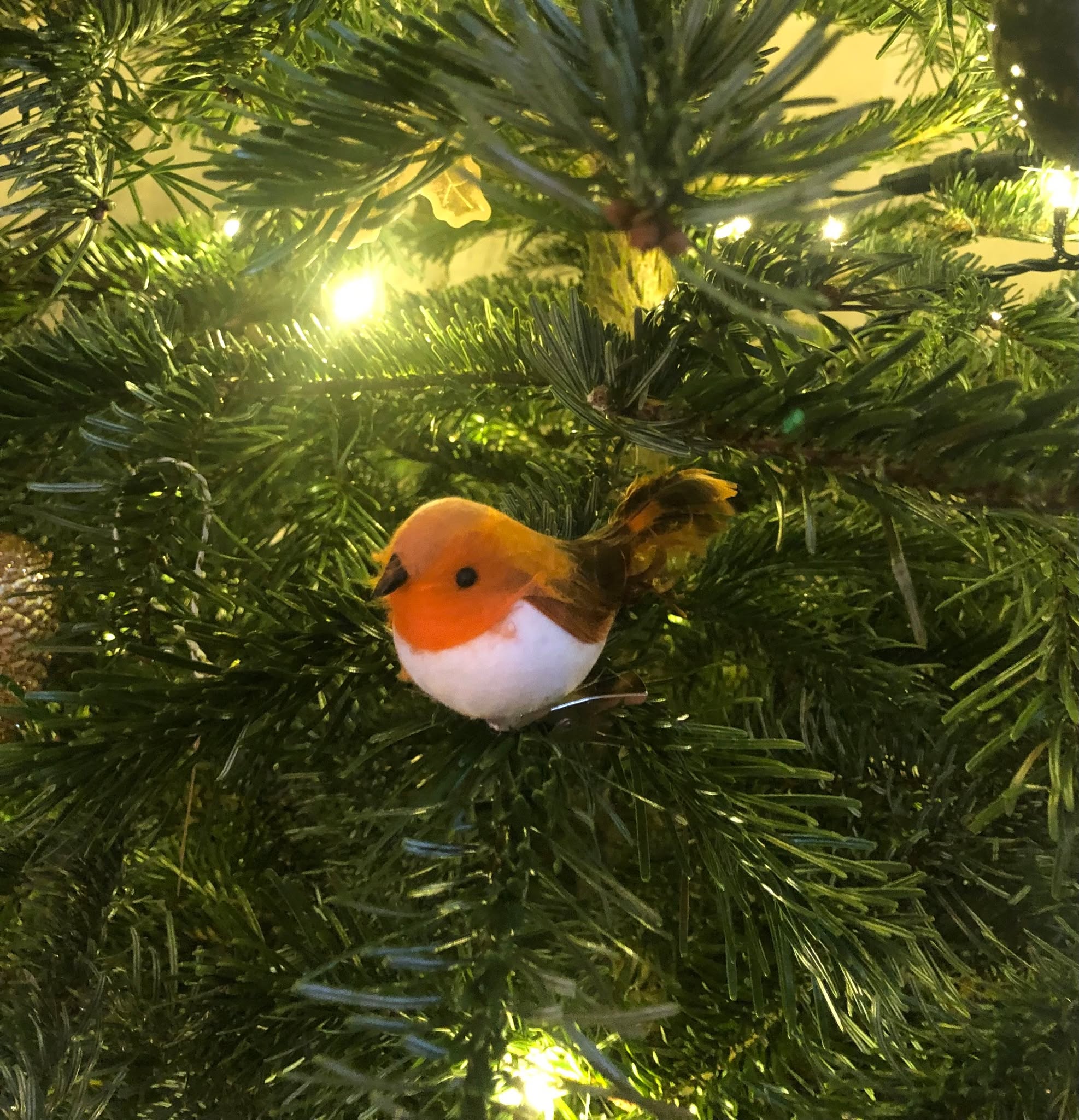 A handsome Christmas robin adorns a christmas tree at Oxford's Christ Church. Why do robins feature on Christmas cards? Book my Christmas talk and you'll hear the surprising reason.
#offbeatcotswolds #bluebadgeguide #bluebadgeguides
#britainsbestguides #christmasrobin
#explore_britain_ #traveling_uk
#photosofengland #instabritain #europetravel