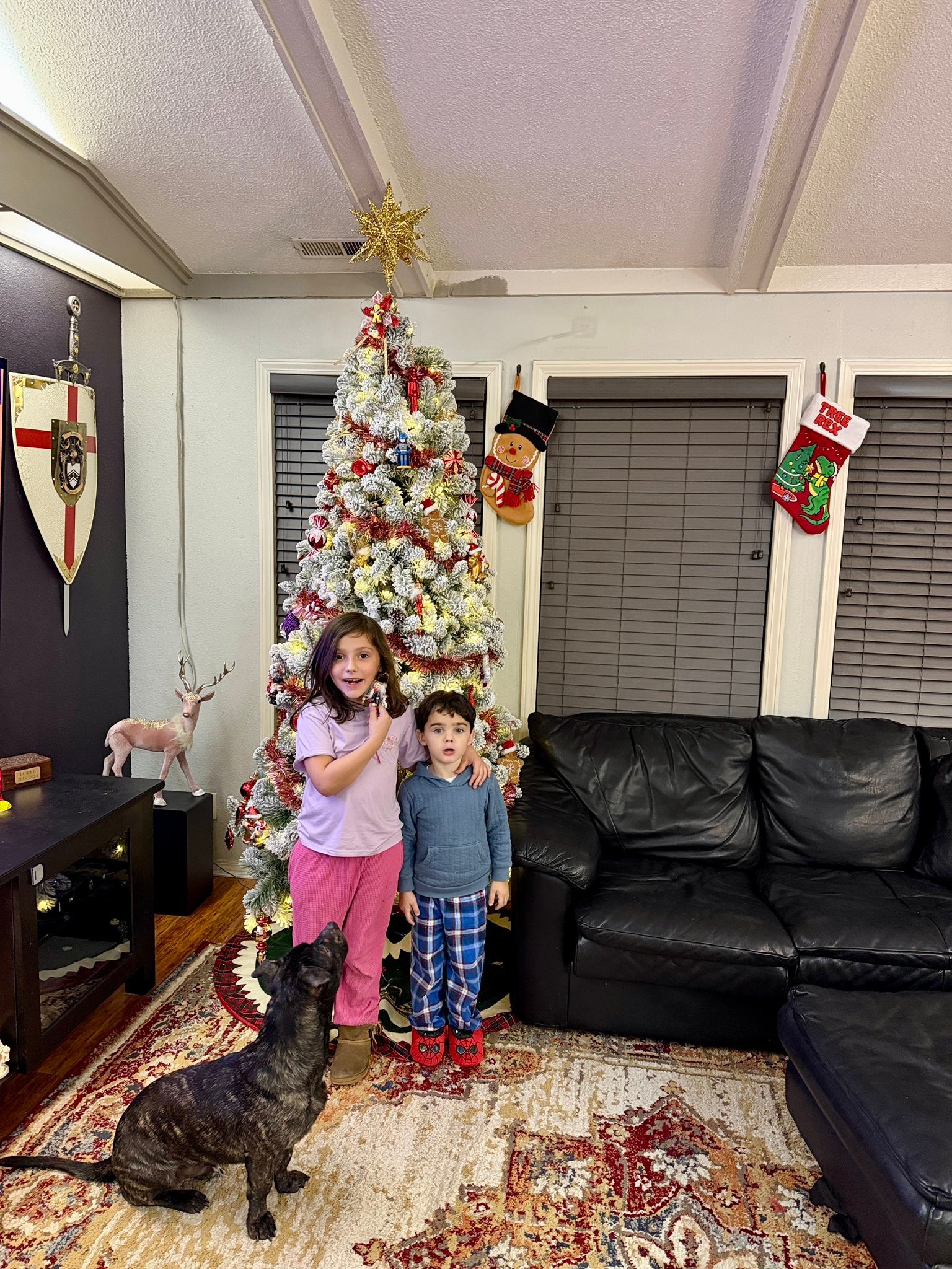 Another weekend with Daddy = another chapter of epic adventures.
Last night we kicked things off with Elf playing in the background while we put up the tree and turned the living room into full Christmas magic. Bella was obsessed with placing baby Jesus in the nativity, her whole face lit up like she was guarding the most important piece. She Eve had to sleep in the living room last night to guard Jesus
And today? We went full Grinch mode on the front entry.
Decorations, laughter, chaos, and pure kid-powered joy. It made me remember everything magical about Christmas when i was a kid. I’d forgotten that magic over the years. These are exactly the kind of memories that make these weekends everything.
Good times were definitely had.