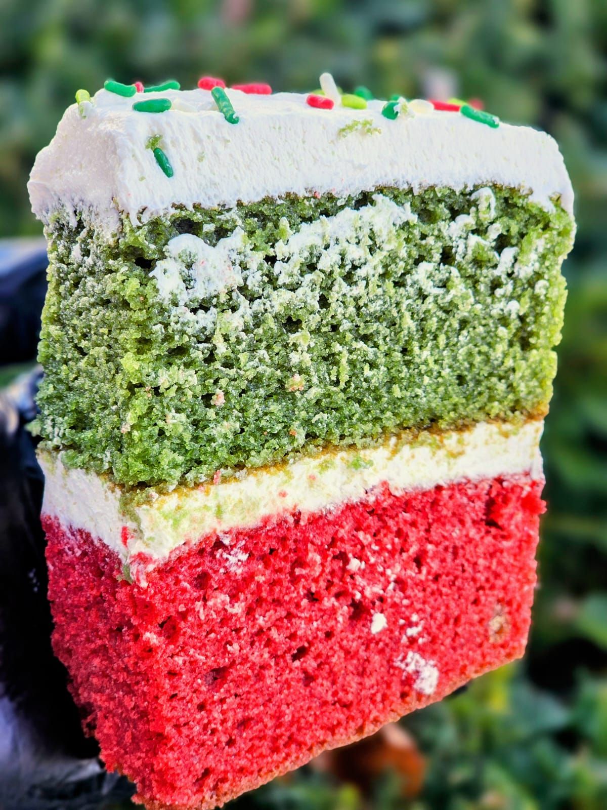 Day 5, and yes… I’m still baking my way through the holidays. 😂
This festive slice is giving cozy, cute, and Christmas!
It said "Merry Christmas" before you even tasted it!