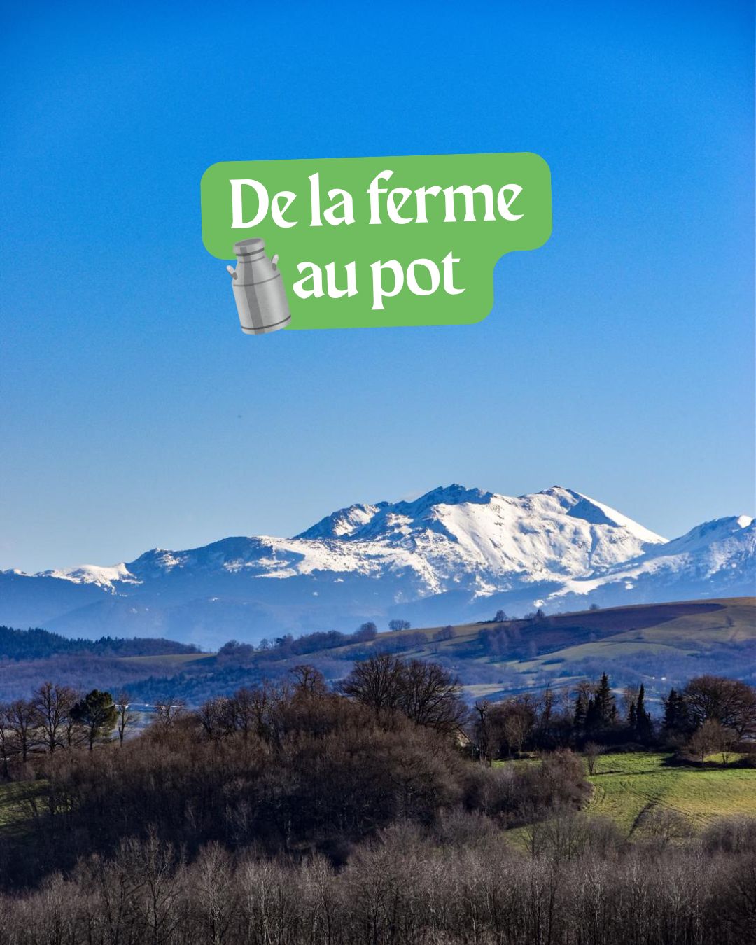 🐄Chez Biochamps, tout commence avec le bon lait de nos vaches et brebis, élevé à deux pas de la laiterie
Puis, place à un processus doux et respectueux de laiterie matière :
👉 Pasteurisation douce en cuve (type bain-marie)
👉 Mise en pot immédiate pour préserver le goût
👉 Et hop, un yaourt prêt à être dégusté !
Chez Biochamps, on respecte le lait ! Ça vous tente des backstages de notre atelier ? 💚
#biochamps #laiterie #artisanale #laitfrais #local #vache #brebis #ariegepyrenees #bio #madeinsudouest
