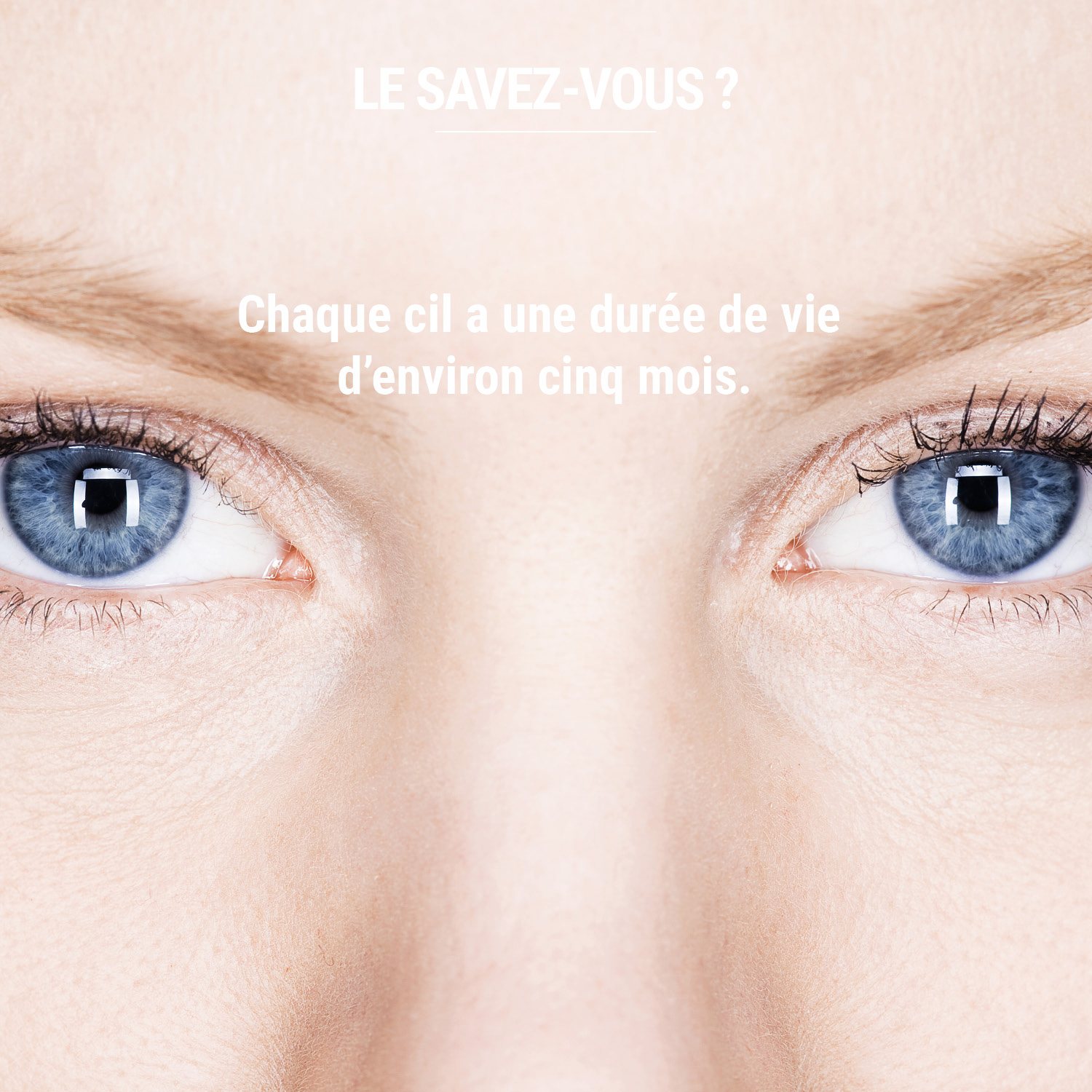 Culture sans stress, c'est notre superpower ! Vous allez être les maîtres du jeu à l'apéro, les gens vont vous supplier de partager vos anecdotes ! Et pour les lunettes, on vous réserve ce soir un post de folie, avec des tendances qui vont vous faire craquer !