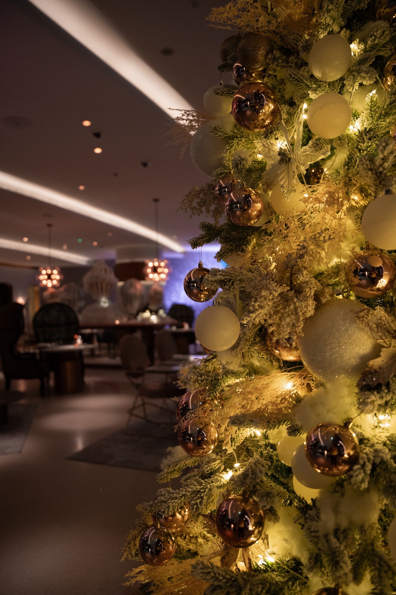 This Christmas Eve, indulge in a beautifully curated six-course dinner by the world-renowned Michelin-starred Chef Pierre Gagnaire, blending festive flavours with French artistry.
24th December, 6:30 pm to 11 pm
AED 650 per person + AED 550 wine pairing
For more information or bookings, visit pierresdubai.com/festive or call/whatsapp +971 56 511 3356
#festive #christmas #christmaseve #PierresDubai #GaultMillauUAE #DubaiDining #DubaiFoodie #MichelinStar #MichelinGuide #LuxuryDining #FrenchCuisine #PierreGagnaire