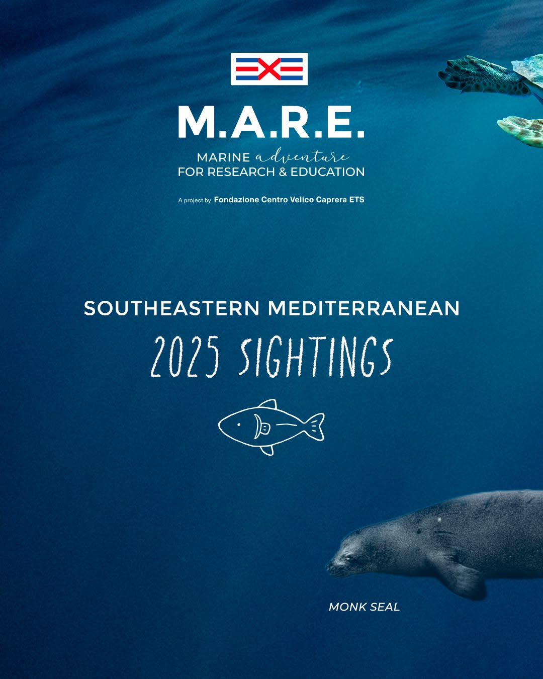 Nel corso della Missione 2025 abbiamo documentato 25 avvistamenti di megafauna, con 81 individui appartenenti a 5 specie!
Scorri il carousel per scoprire quali! 🐬🐢🦭
~
During the 2025 Mission we tracked 25 megafauna sightings, with 81 individuals belonging to 5 species!
Swipe through the carousel to find out which ones! 🐬🐢🦭
A project by @cvcaprera
Scientific Partner @oneoceanfound
#progettoMARE #aboutMARE #CentroVelicoCaprera
#MarineResearch #WeAreAllOneOcean #RespectTheOcean #OneOceanFoundation