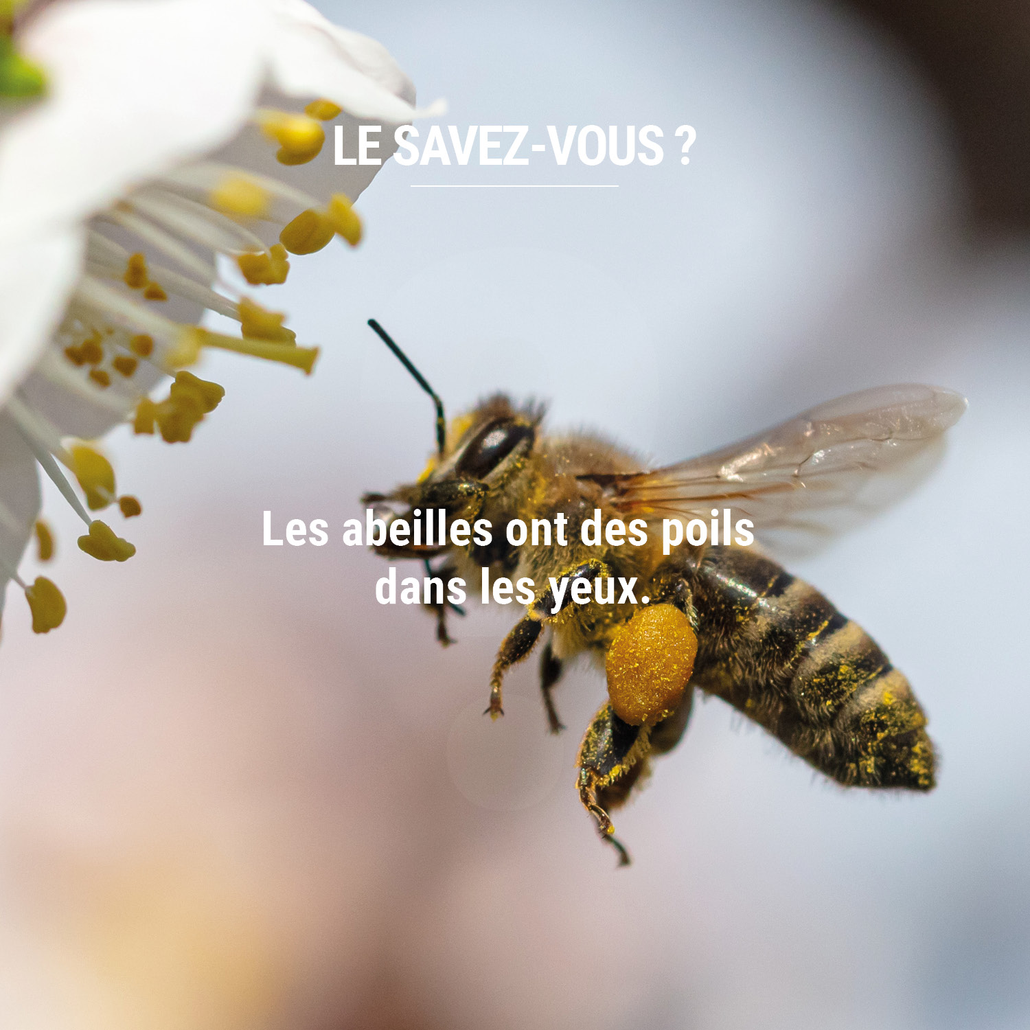 Un peu de culture générale, sans trop se prendre au sérieux ! Sinon, pour les lunettes, on est vraiment au top... on se retrouve ce soir pour des tendances qui vont faire sensation 😄