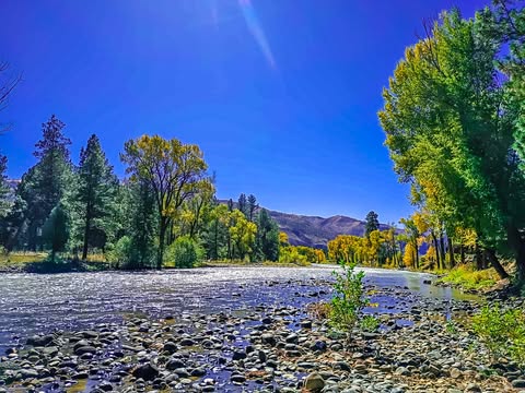 ✨ The Animas River — River of Souls ✨
The Animas River in Durango has a presence you don’t forget. Its name comes from Río de las Ánimas — The River of Souls — and in old stories, Animas Perdidas, The Lost Souls. People have long said the river feels like a threshold, a place where the land’s memory moves through water. Standing there, you understand why.
This photo is from our trip in October, when my husband, our teenage daughter, and I took a spiritual trek through the Rocky Mountains. Our cabin sat right beside the river, facing the water so fully that every morning we woke to its breath — crisp, ancient, clear. The spirits there felt old in a way that settled into your bones, like the river itself was conscious and watching.
#DurangoColorado
#AnimasRiver
#ColorfulColorado
#SacredWaters
#RiverMedicine
#NatureIsMedicine
#SpiritOfPlace
#EarthBasedSpirituality
#WalkingWithSpirit
#MysticLiving
#SoulJourney
#AncestralWaters
#ElementalMagic
#RockyMountainMagic
#WanderWithIntention
One morning I made an offering and collected a small amount of water. It felt heavy with history and clarity — a medicine meant for movement, release, and truth. And as if the land was layering blessings, we arrived in Durango during the annual Cowboy Gathering, which became such a special treat for Avalina. The whole weekend felt guided.
The Animas is not a quiet river. It’s a mover, a cleanser, a revealer. Its current refuses stagnation and brings buried things to the surface — physically, spiritually, emotionally.
Used respectfully, Animas water can support:
• Cleansing and uncrossing
• Road-opening and forward momentum
• Ancestral communication
• Clarity and truth work
A little goes a long way. This is teacher-water — reminding us that everything must flow, everything must release, and everything returns to its source in time.