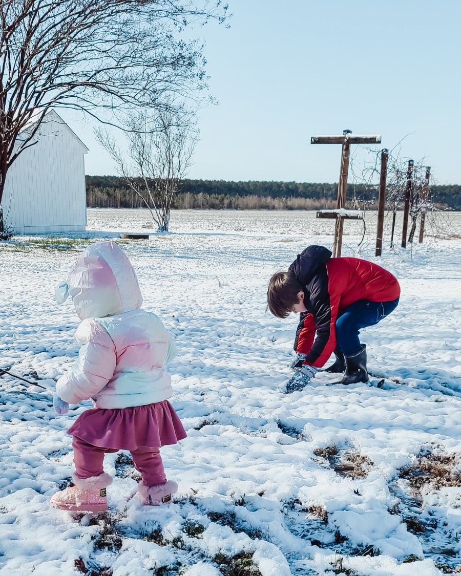 We have a big list of goodies to make this week for our store space, but we wanted to enjoy the snow first this morning before it all melts.
We hope everyone is able to enjoy the early winter snow as well while you can! Stay safe while out on the roads too! Maybe we'll get lucky and have a white Christmas this year?