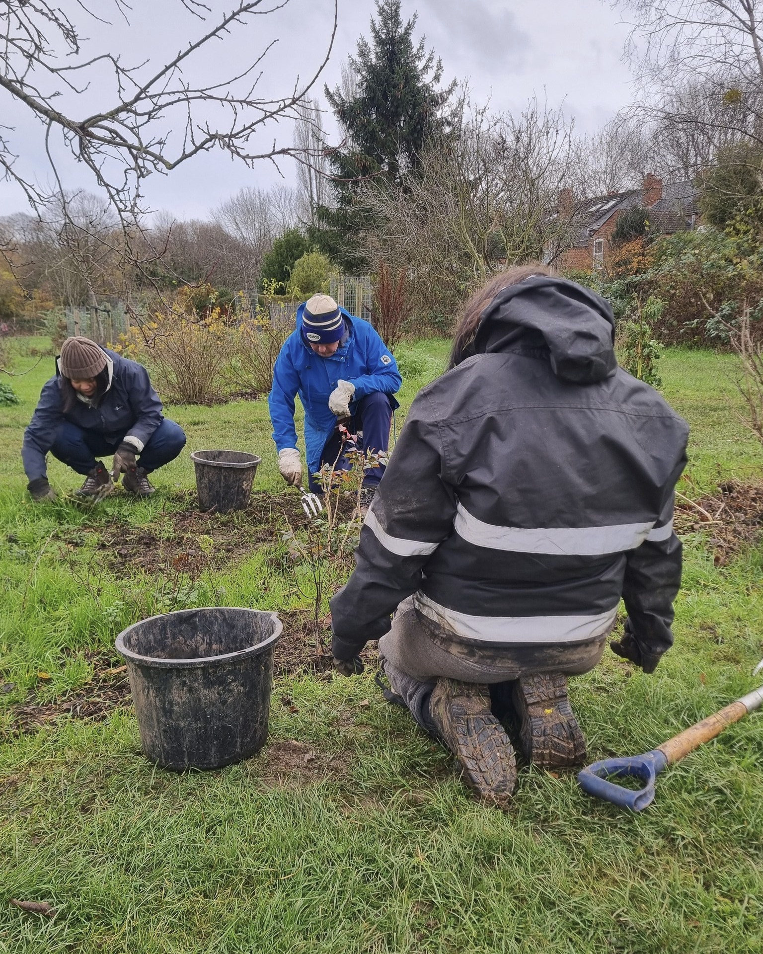 Another drizzly session at #KingdomForestGarden in #Stirchley last week, but bit by bit we keep the grass out of the growing space.