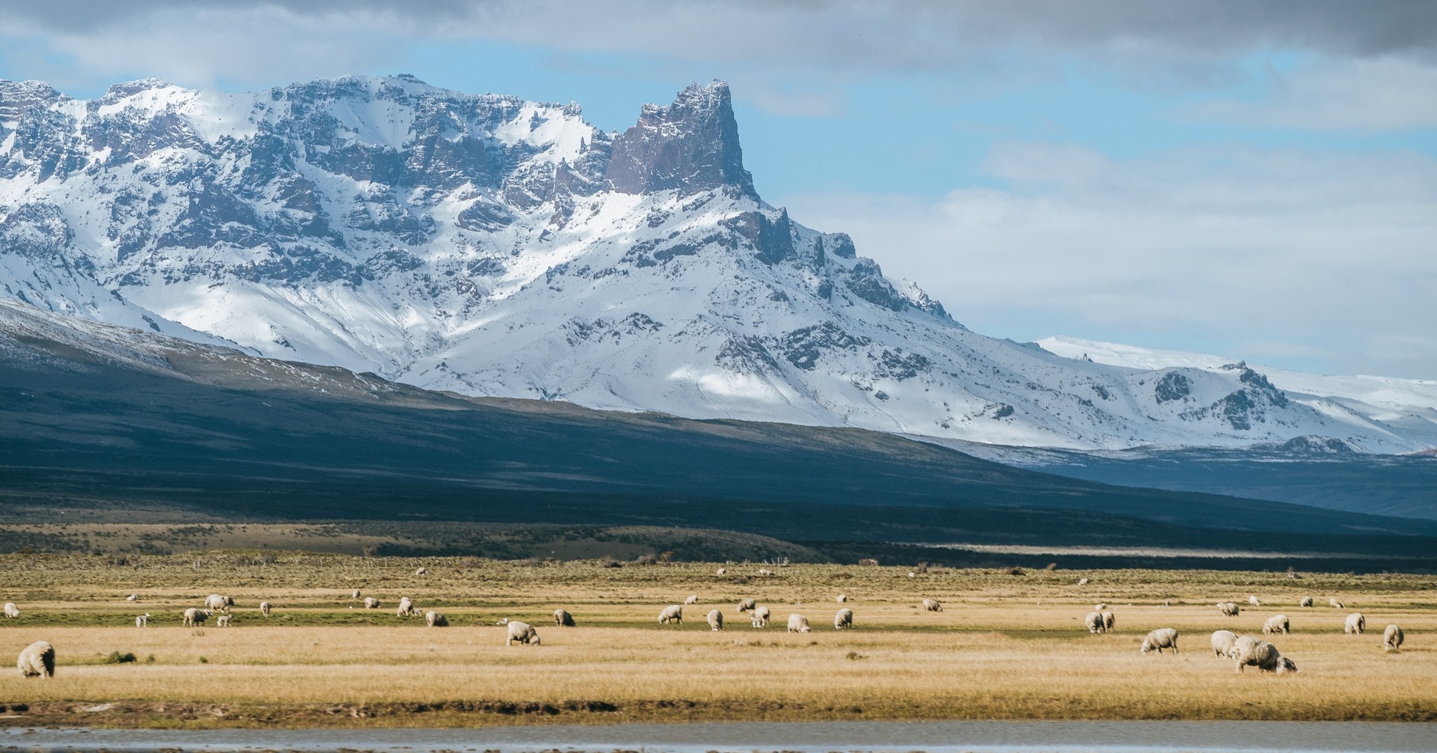 🌄 Cerro Guido: paisajes que inspiran conservación.
Este rincón de la Patagonia con más de 100.000 hectáreas entre estepas, montañas, lagos y sierras, es el hogar de un patrimonio natural vivo, donde fauna, historia y paisaje conviven en equilibrio.
Aquí, cada cerro, cada valle, cada horizonte cuenta una historia: la de un proyecto que demuestra que es posible un nuevo modelo de coexistencia entre el ser humano y la vida silvestre, especialmente con el puma, el principal depredador del ecosistema.
Nuestro compromiso con la conservación transforma este lugar en más que un paisaje: es un espacio de vida y de futuro, donde proteger lo natural significa proteger un legado para las próximas generaciones 🌱✨
-
Cerro Guido Territory: landscapes that inspire conservation
This corner of Patagonia, with more than 100,000 hectares of steppe, mountains, lakes, and rolling hills, is home to a living natural heritage where wildlife, history, and landscape coexist in balance.
Here, every hill, every valley, every horizon tells a story: that of a project proving that a new model of coexistence between humans and wildlife is possible—especially with the puma, the ecosystem’s top predator
Our commitment to conservation turns this place into more than just a landscape: it becomes a space of life and future, where protecting the natural world means safeguarding a legacy for generations to come.
📸: @piavergarafotografia @beatrizschneiders
📍: @estancia.cerroguido
#CerroGuido #Patagonia #PaisajesPatagónicos #VidaSilvestre #Conservación #Naturaleza #TorresDelPaine #FundacionCerroGuidoConservacion